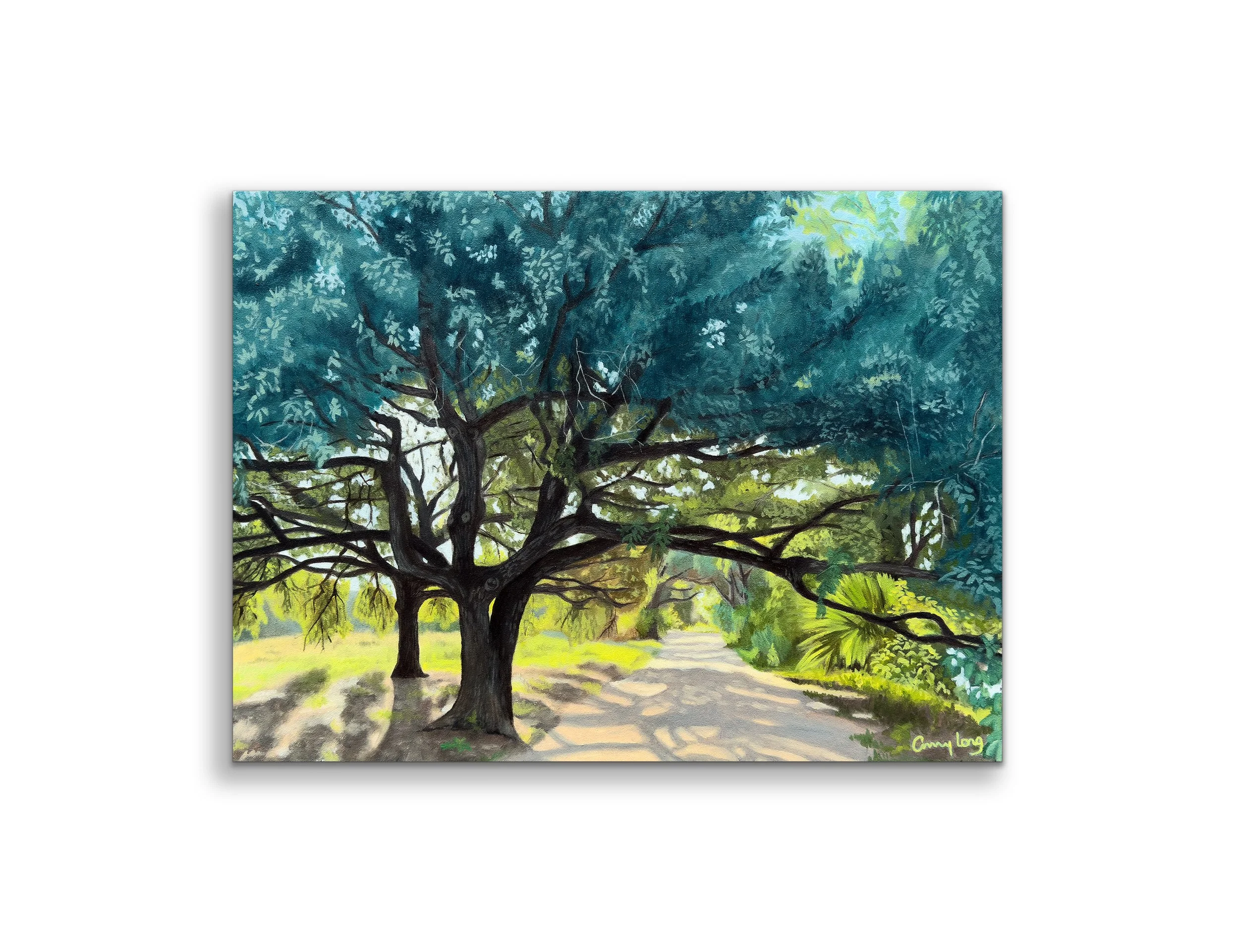 Town Lake on wall.jpg