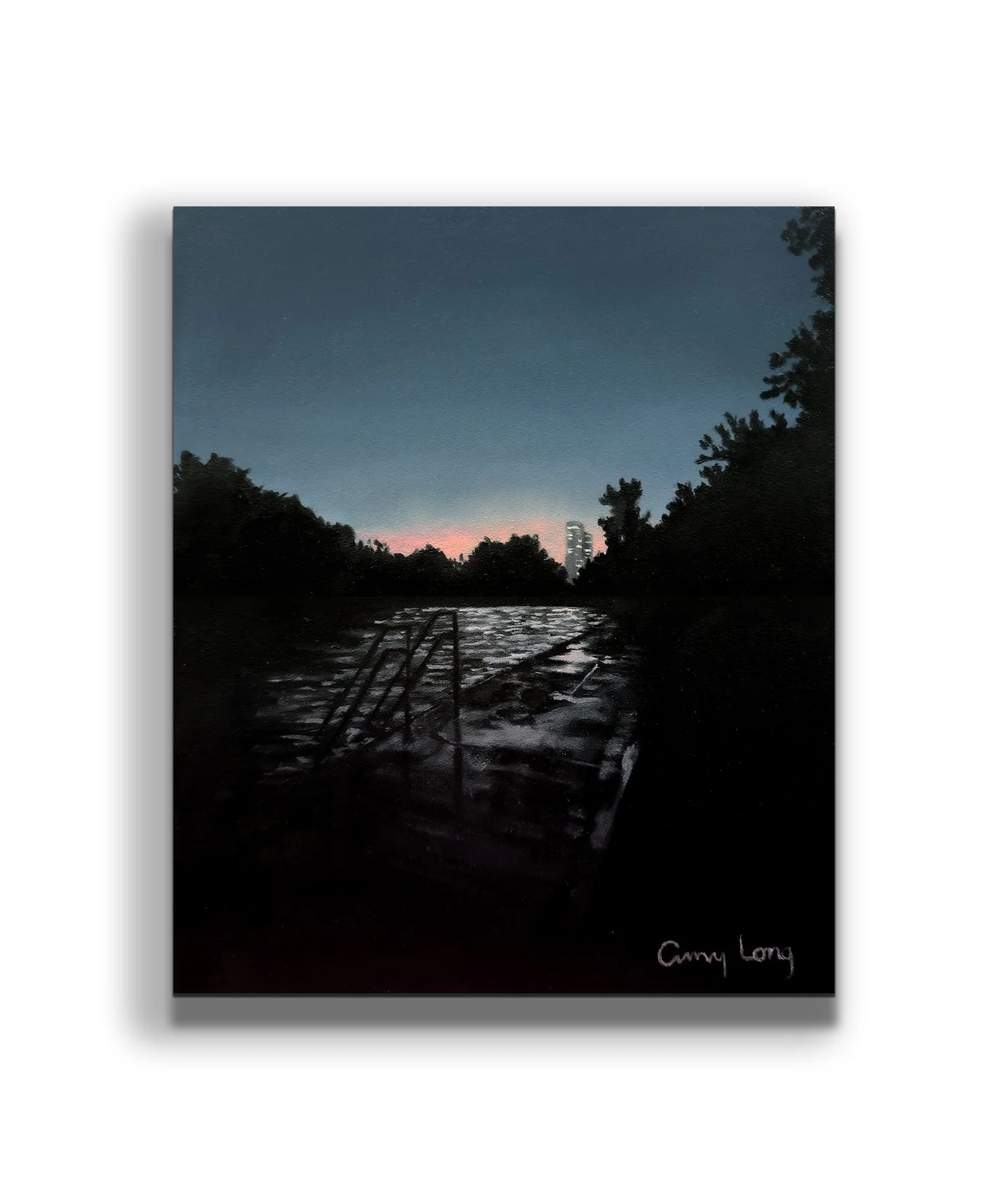 barton springs dawn on wall.jpg