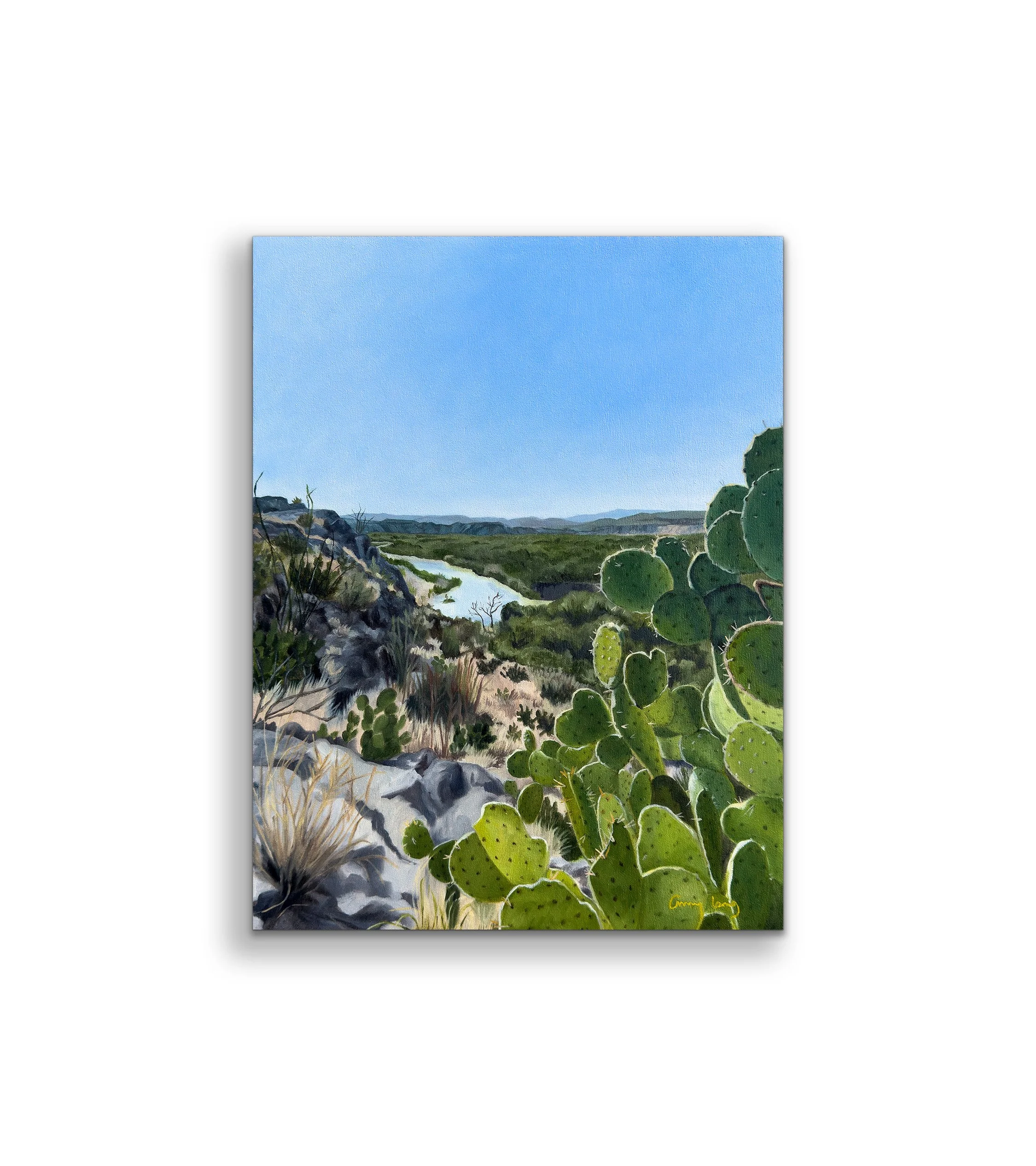 boquillas canyon on wall.jpg