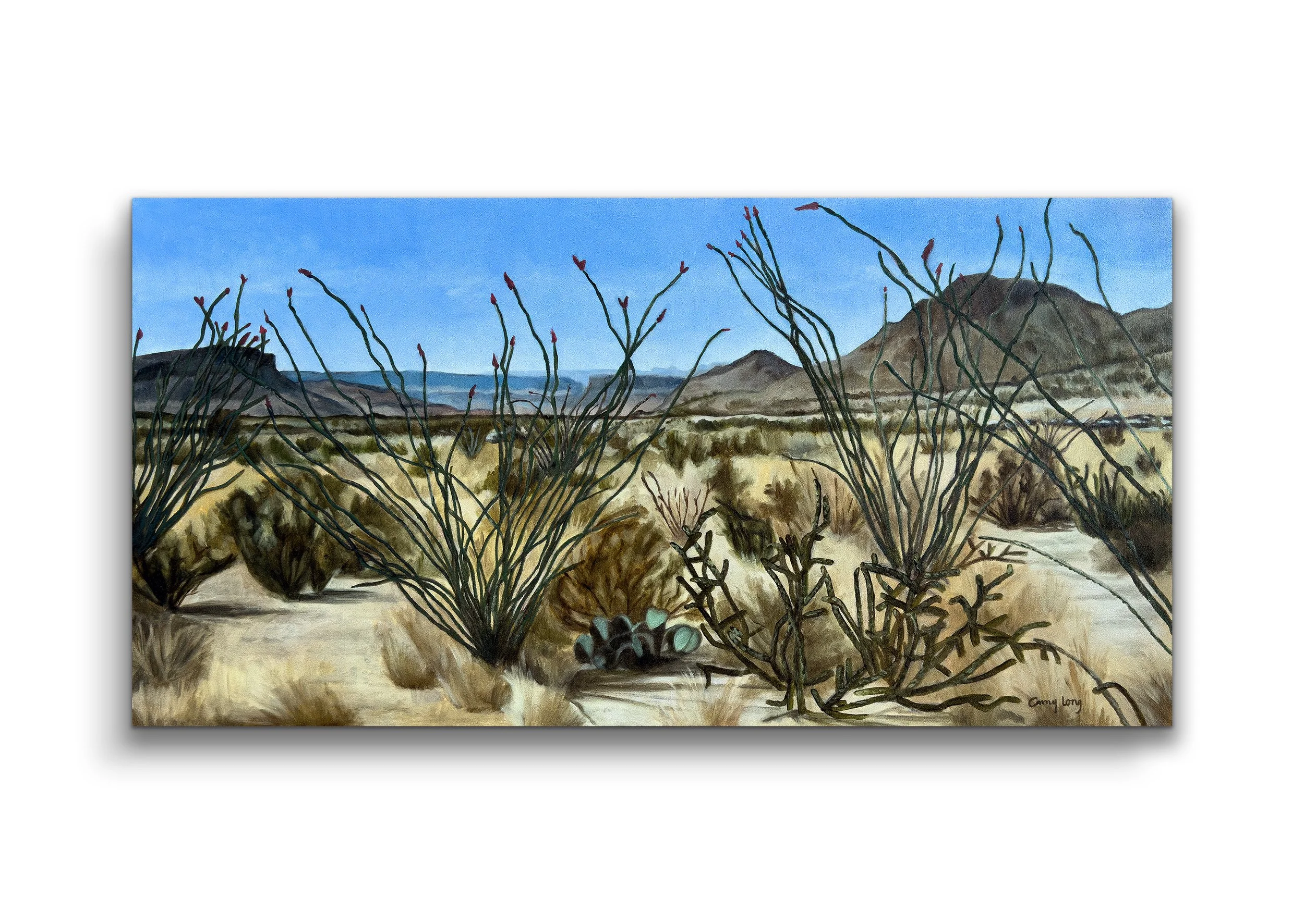 ocotillo patch on wall .jpg