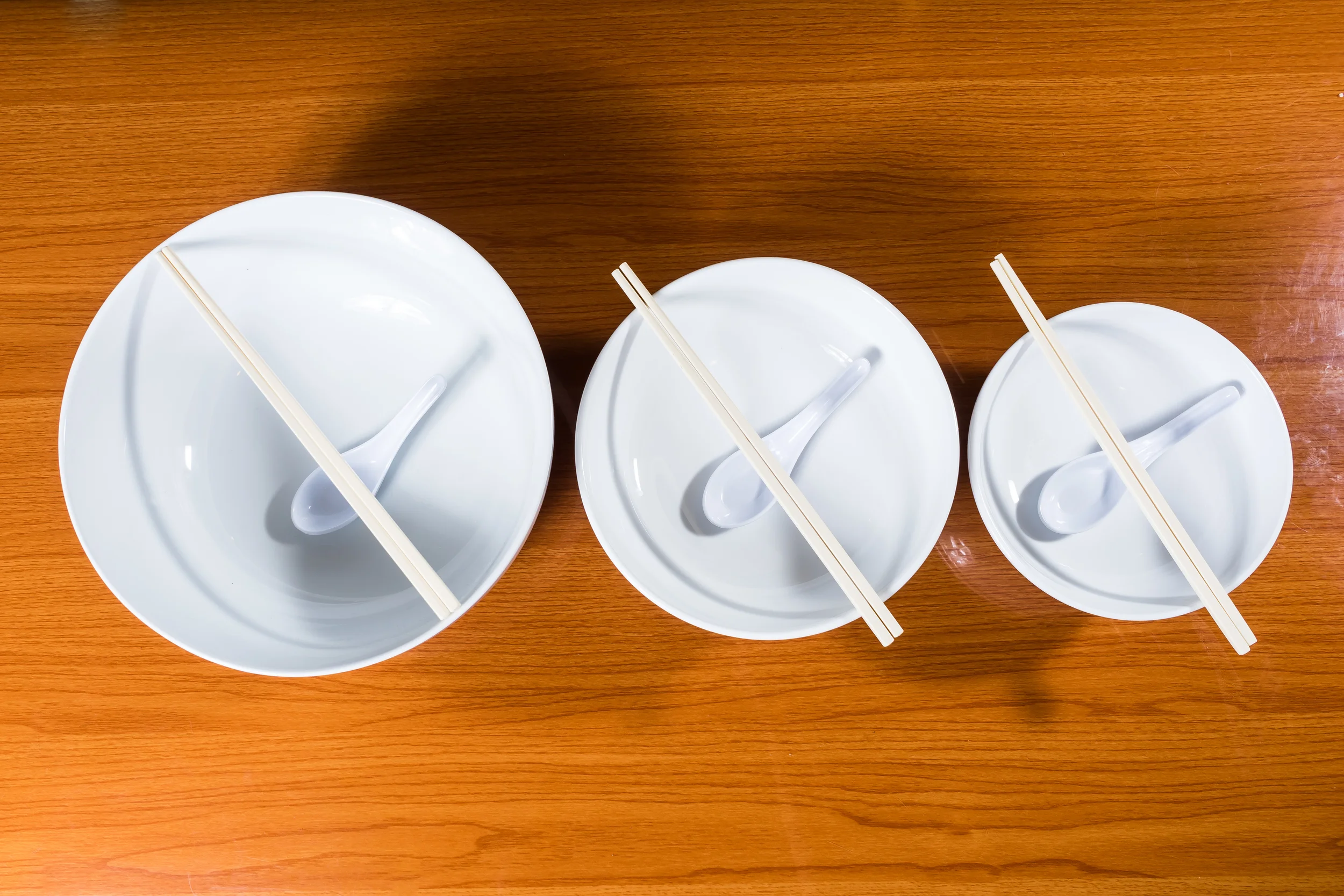From Left To Right: Pho 102 Bowl, Large Bowl, Small Bowl