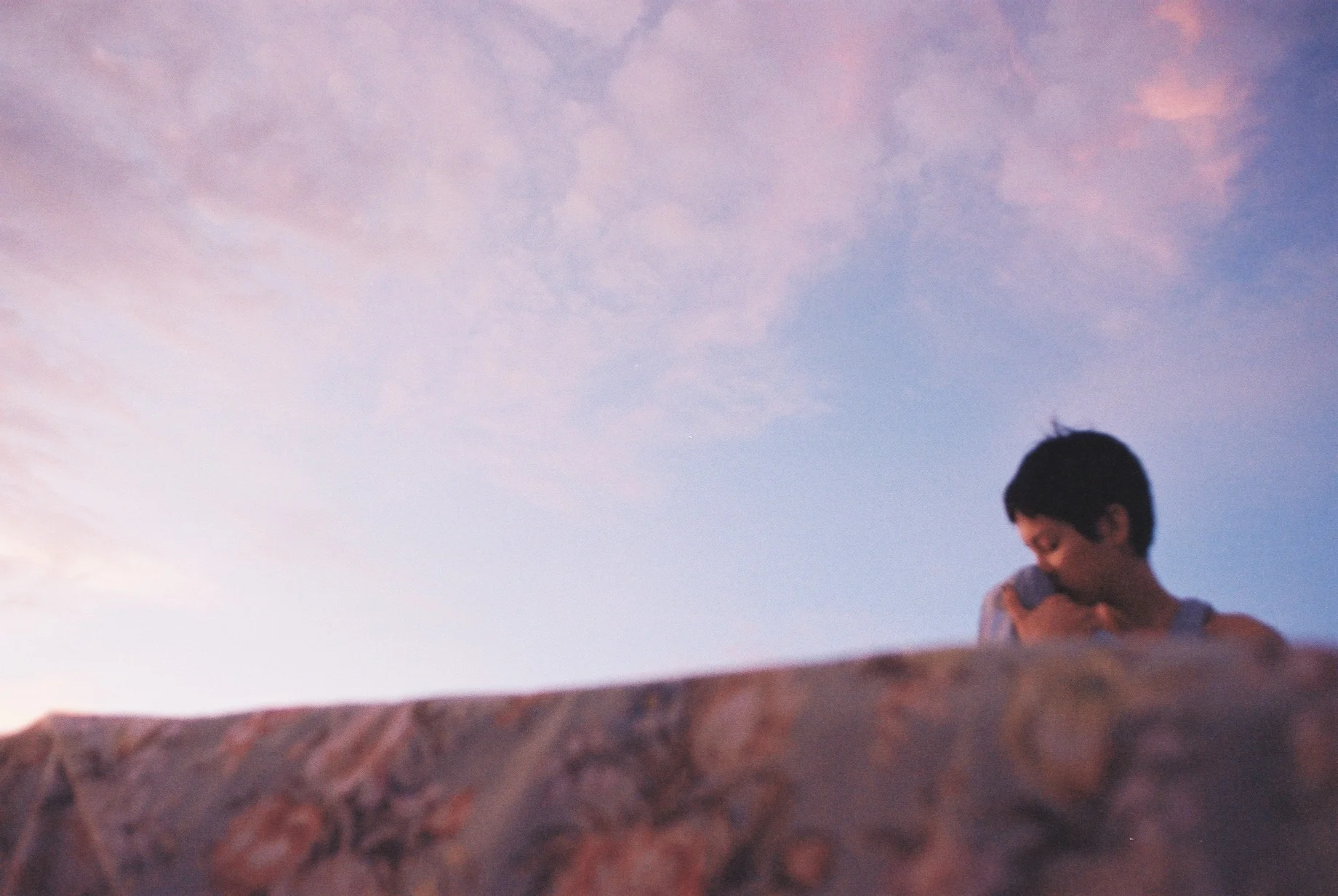 DREAMSCAPES OF SHANNON / ART DIRECTOR