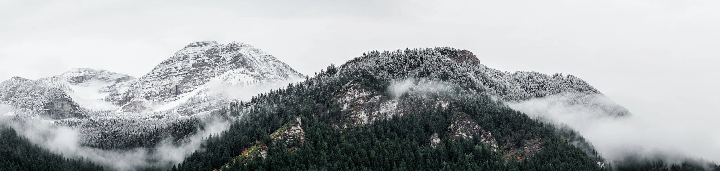 _DSC7305.jpg