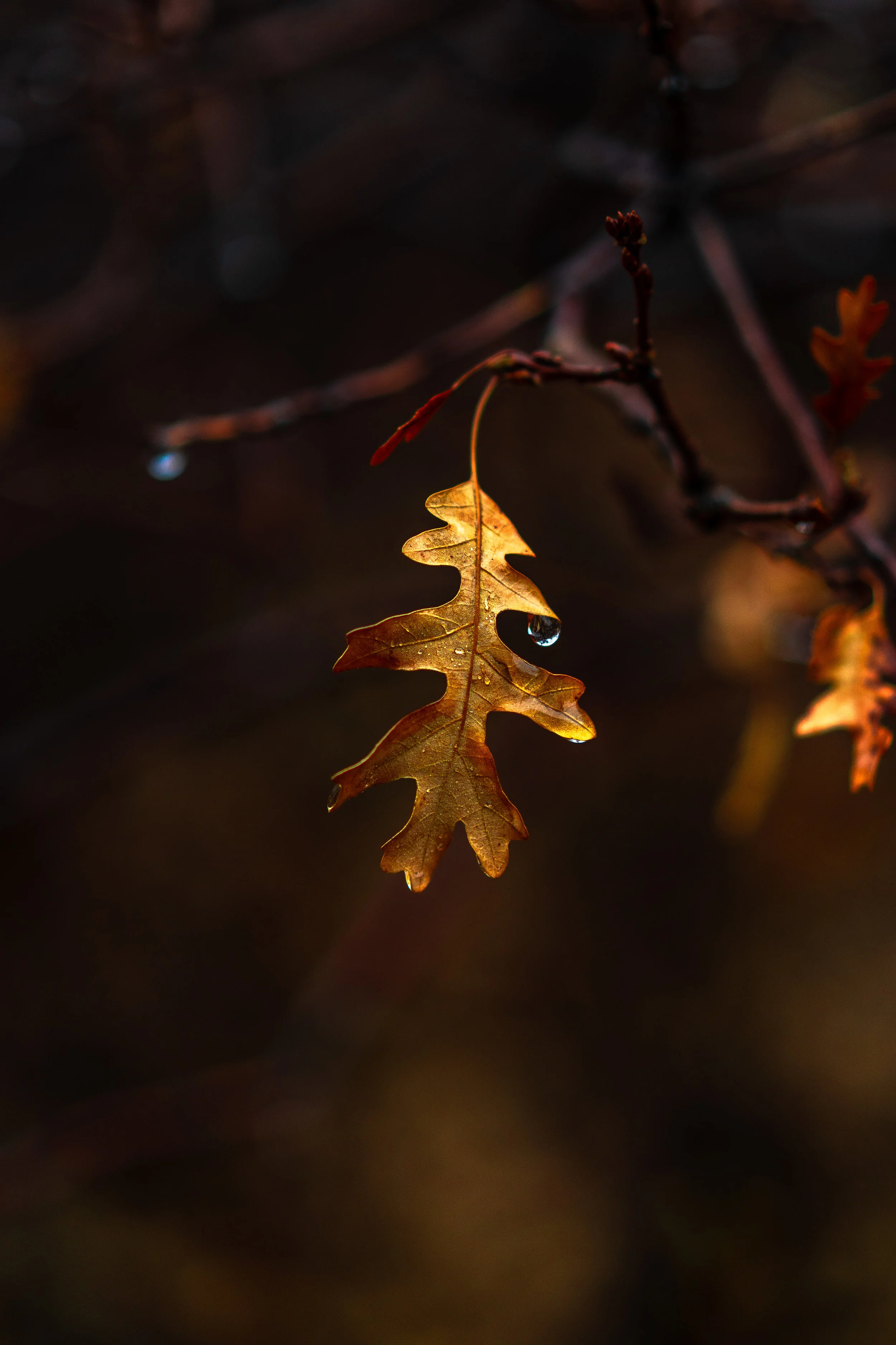 DSC07861.jpg