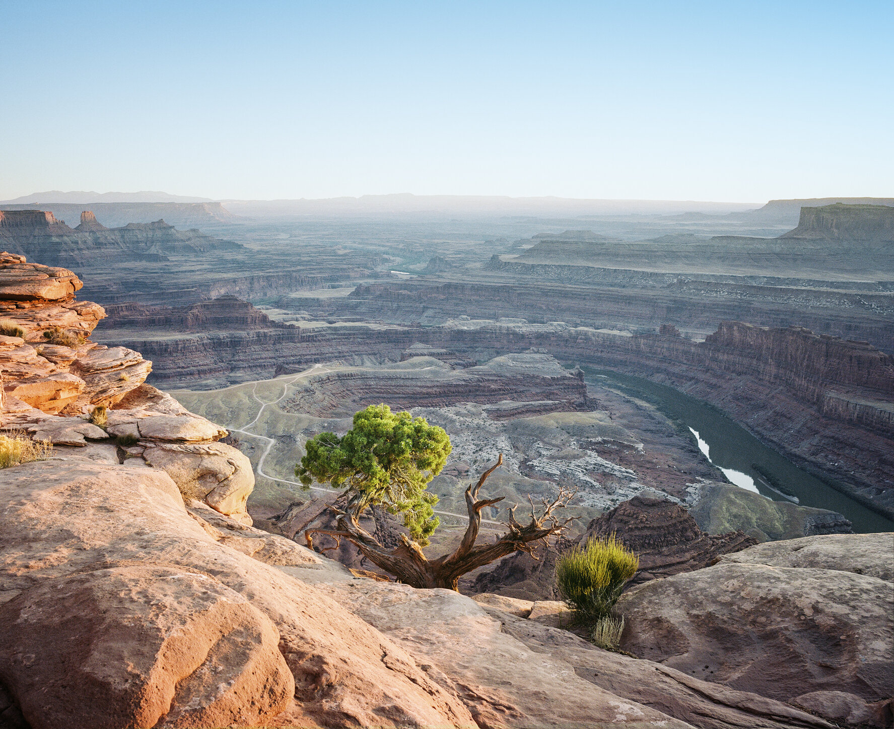 2020_07_18_Utah_Canyonlands_Tree_View_RJS_000033320004_V1.jpg