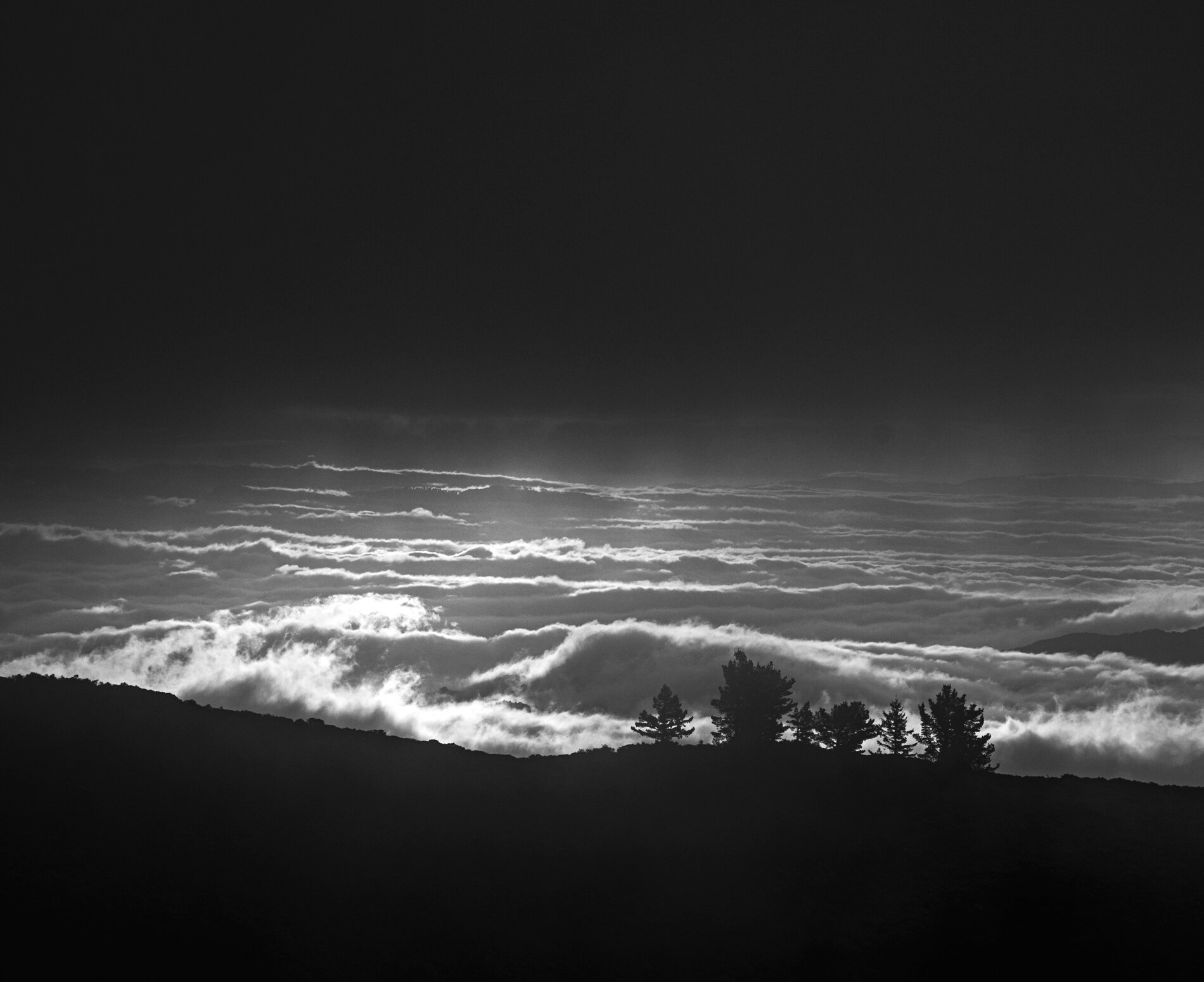 Califronia_Mount_Tam_Tree_Clouds_RJS_7790.jpg