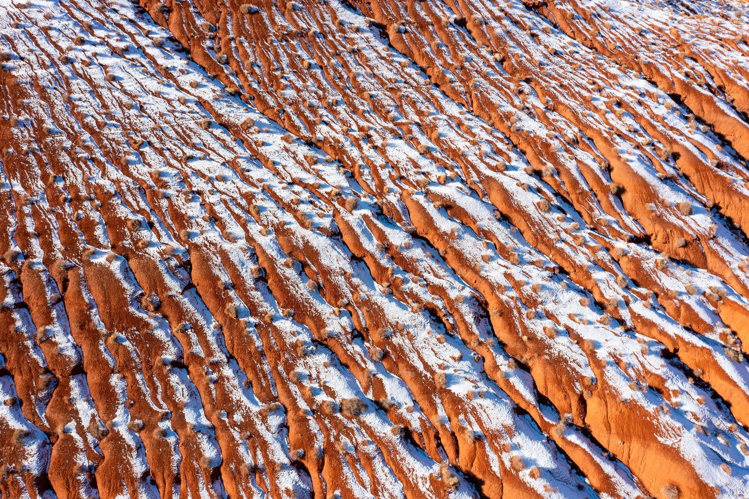 RJS_DJI_0003.jpg