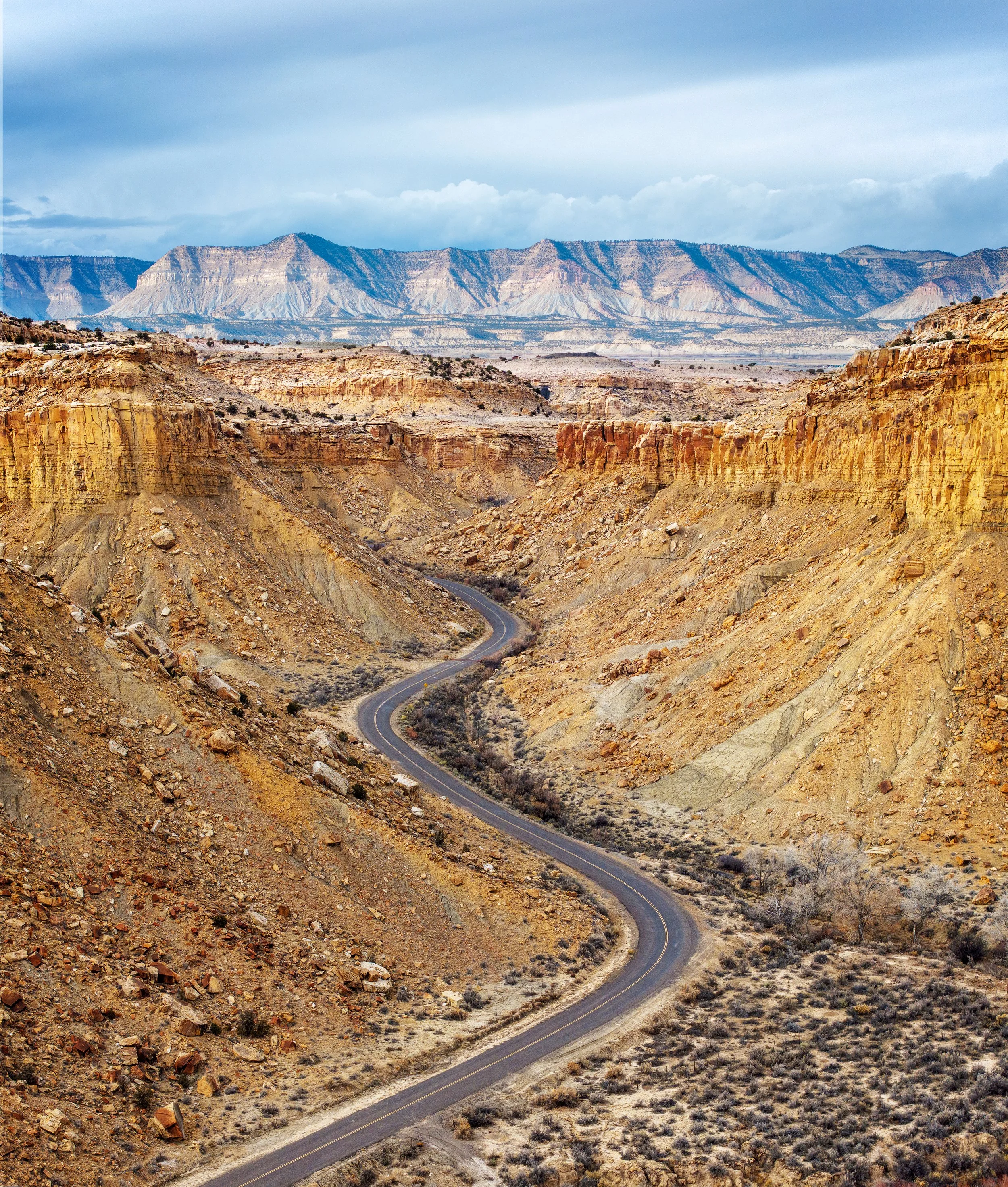 Untitled_Panorama-1 copy.jpg