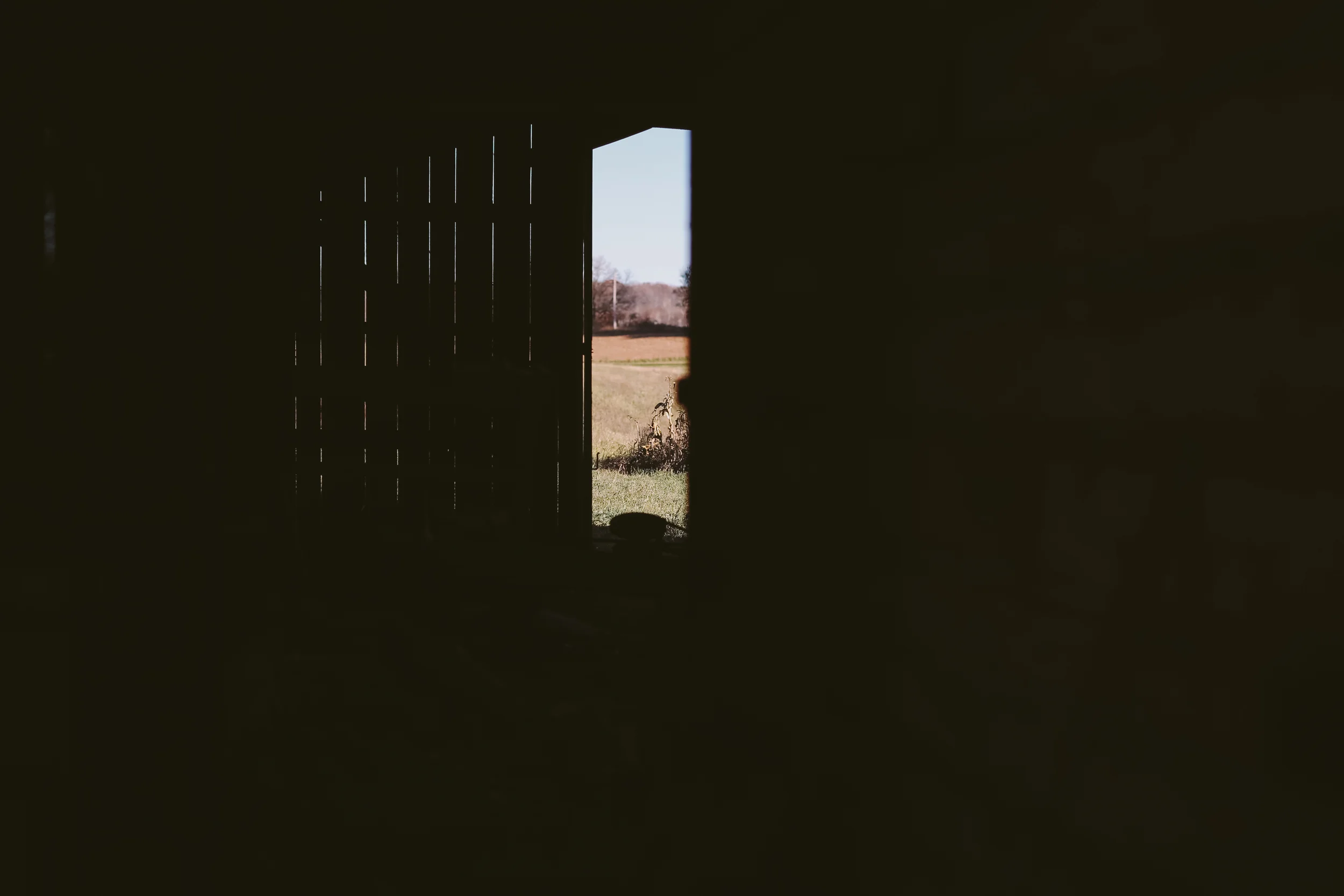 untitled-9.jpg