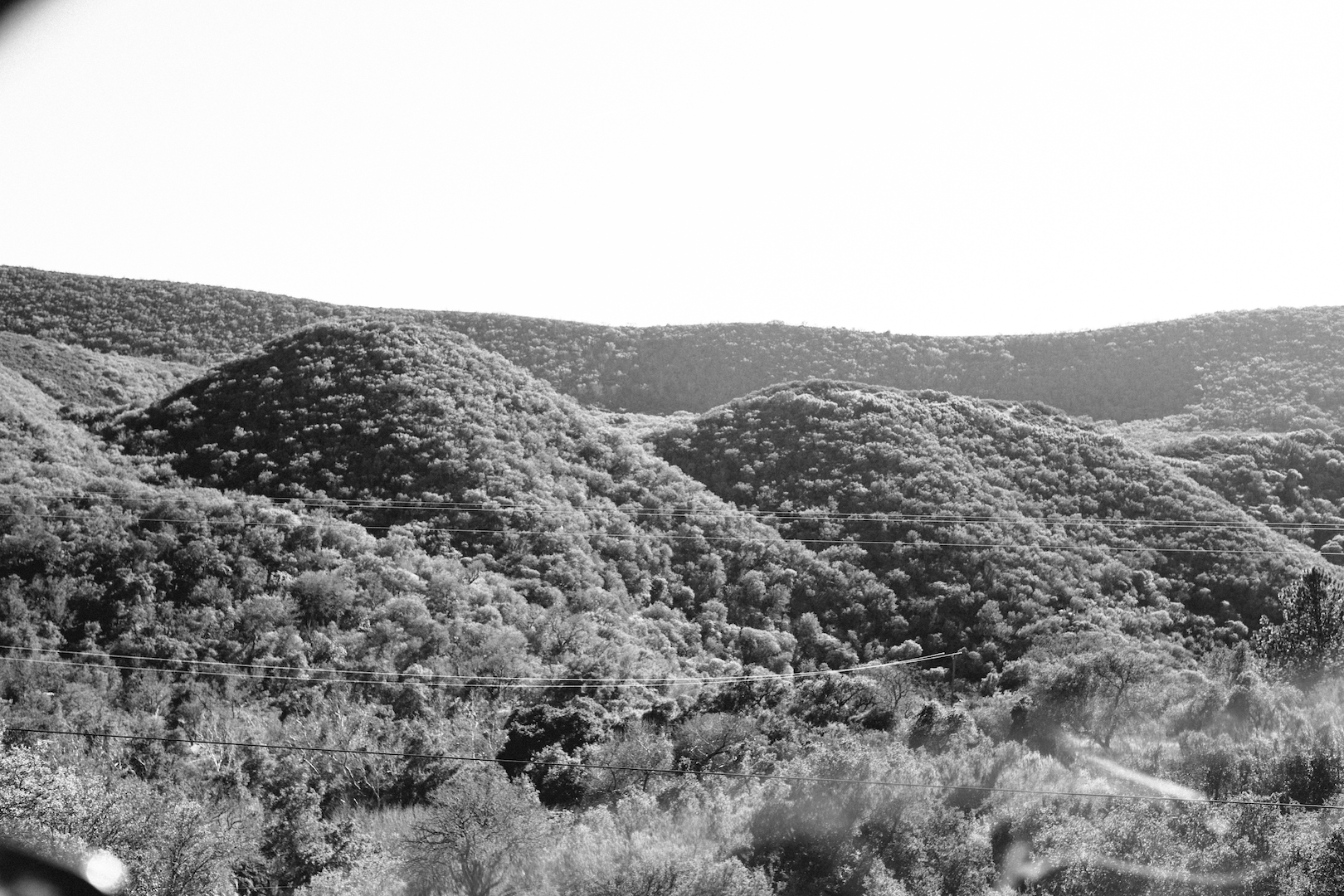 GV5A4266.jpg