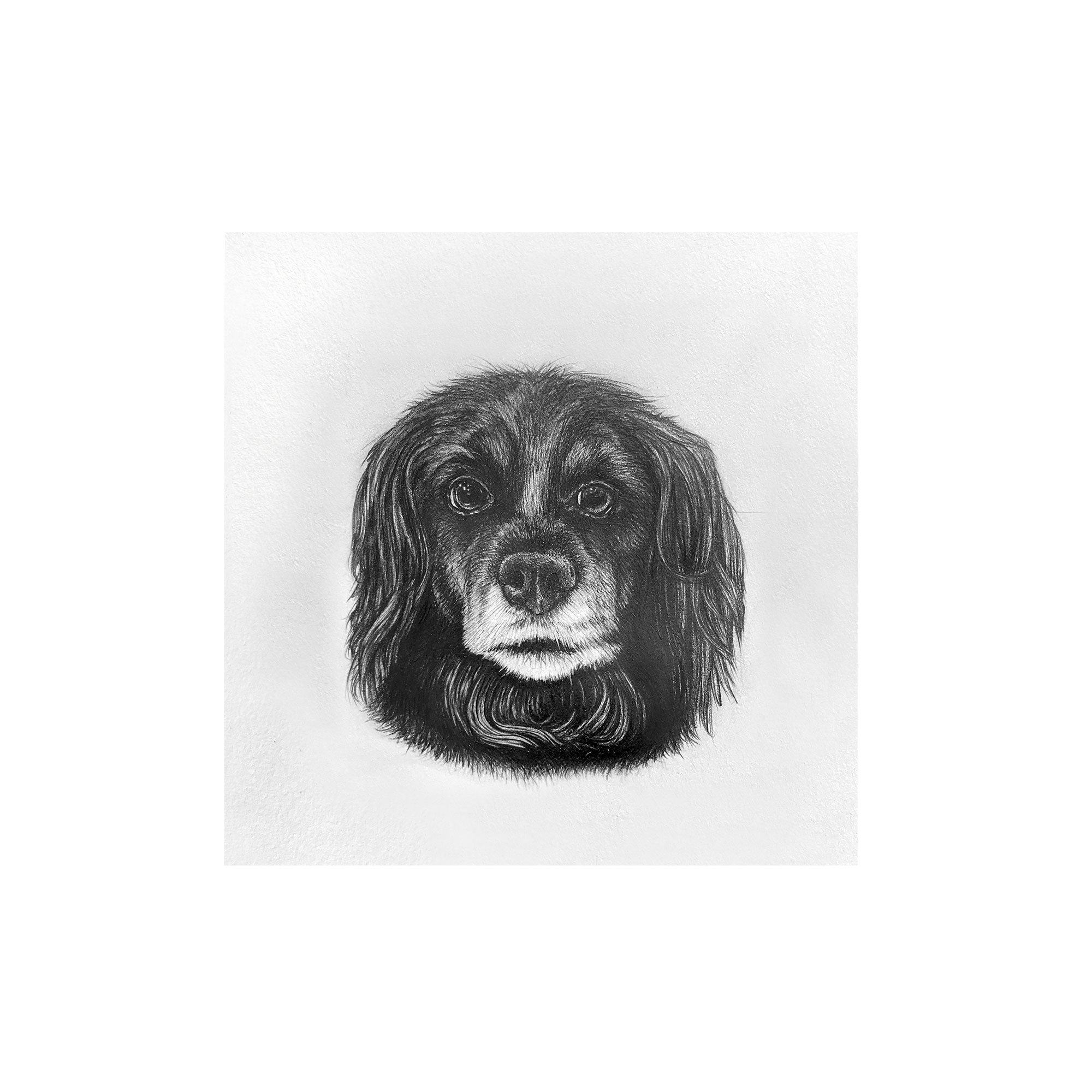 Jasper