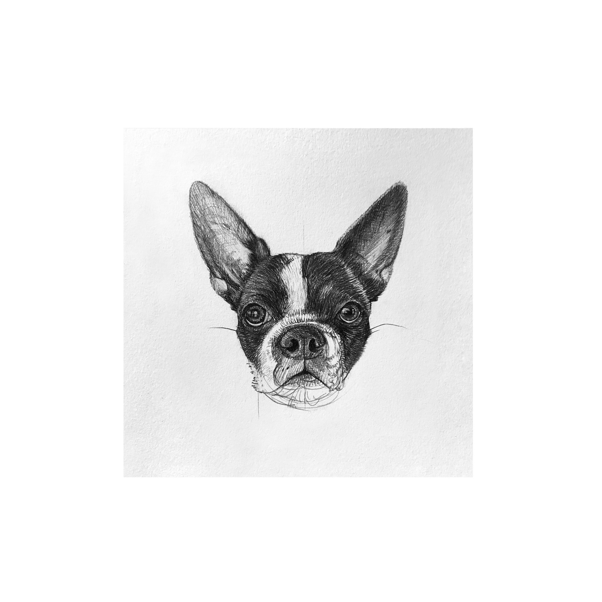 Molly