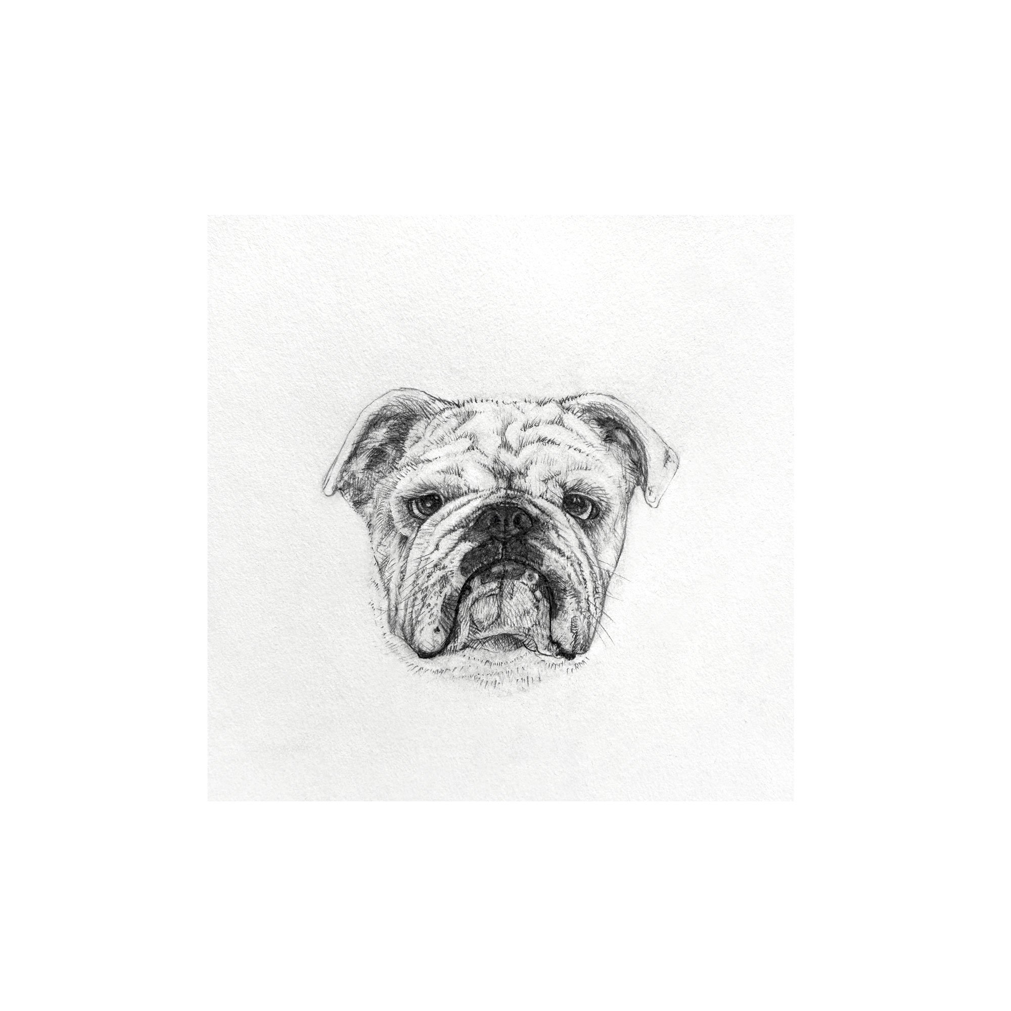 Stella