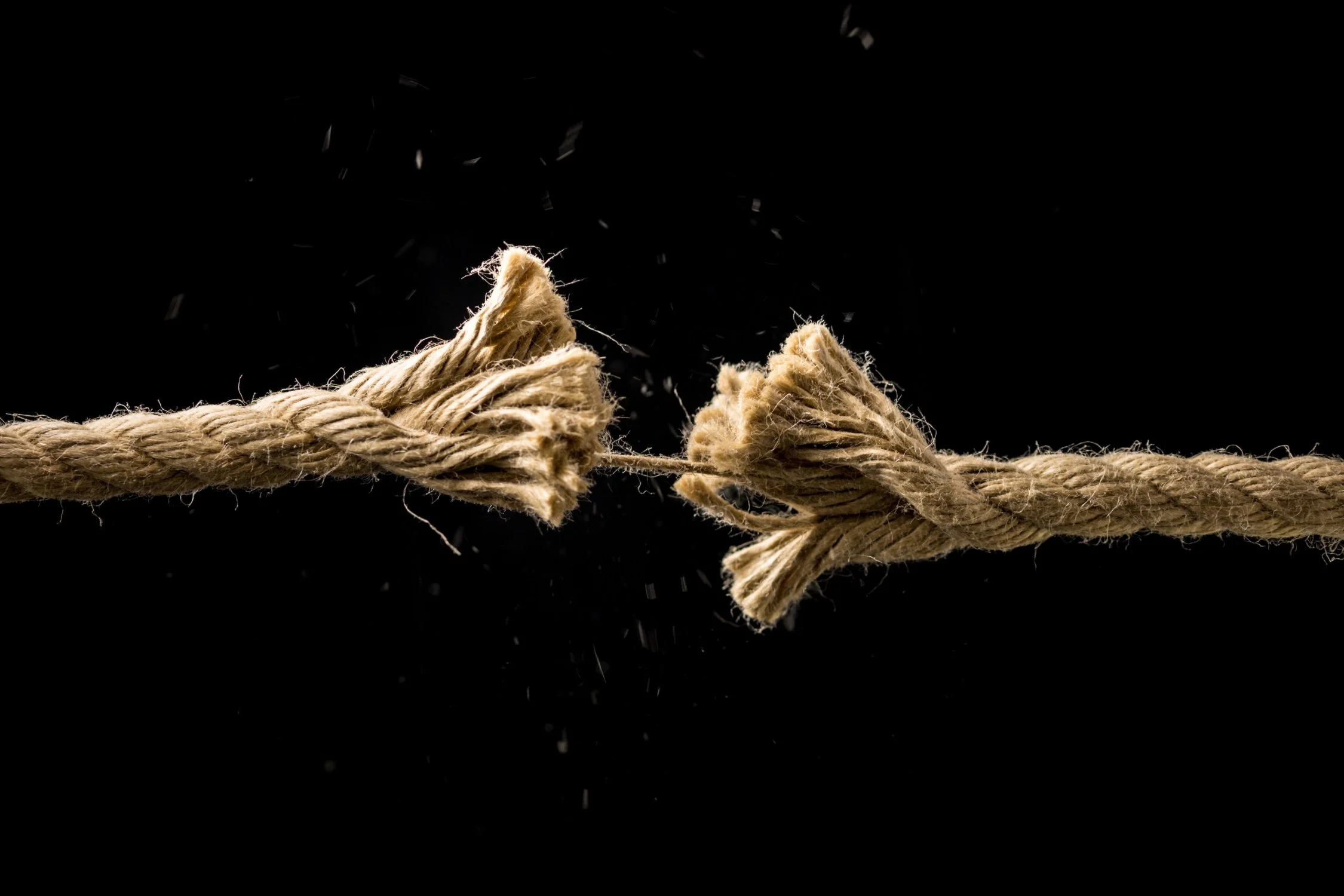The Difference Between Board Risk Oversight and Management: What Every Director Should Know