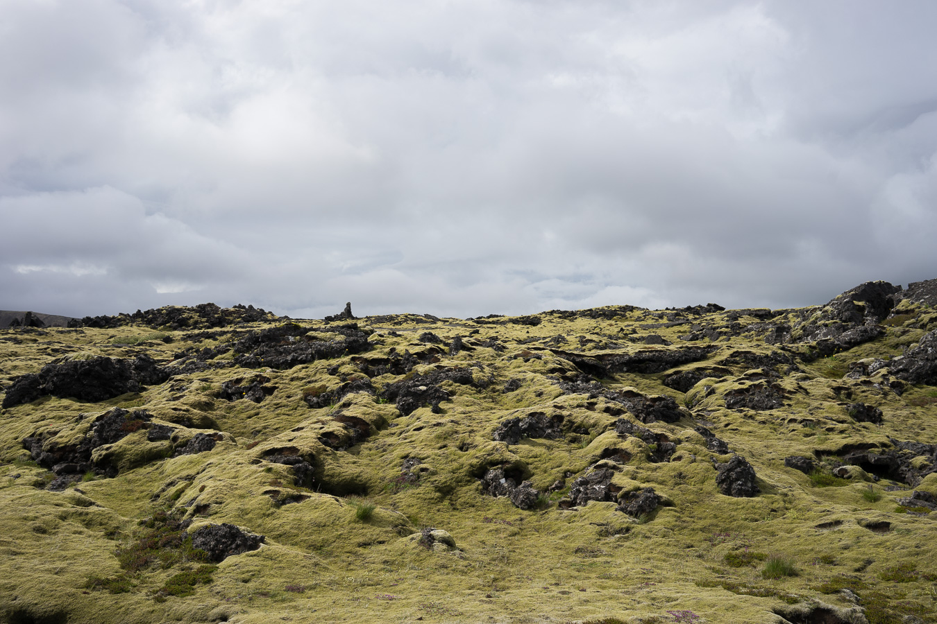 Mossy terrain is everywhere in Iceland. Photo by Jonnie Hallman !