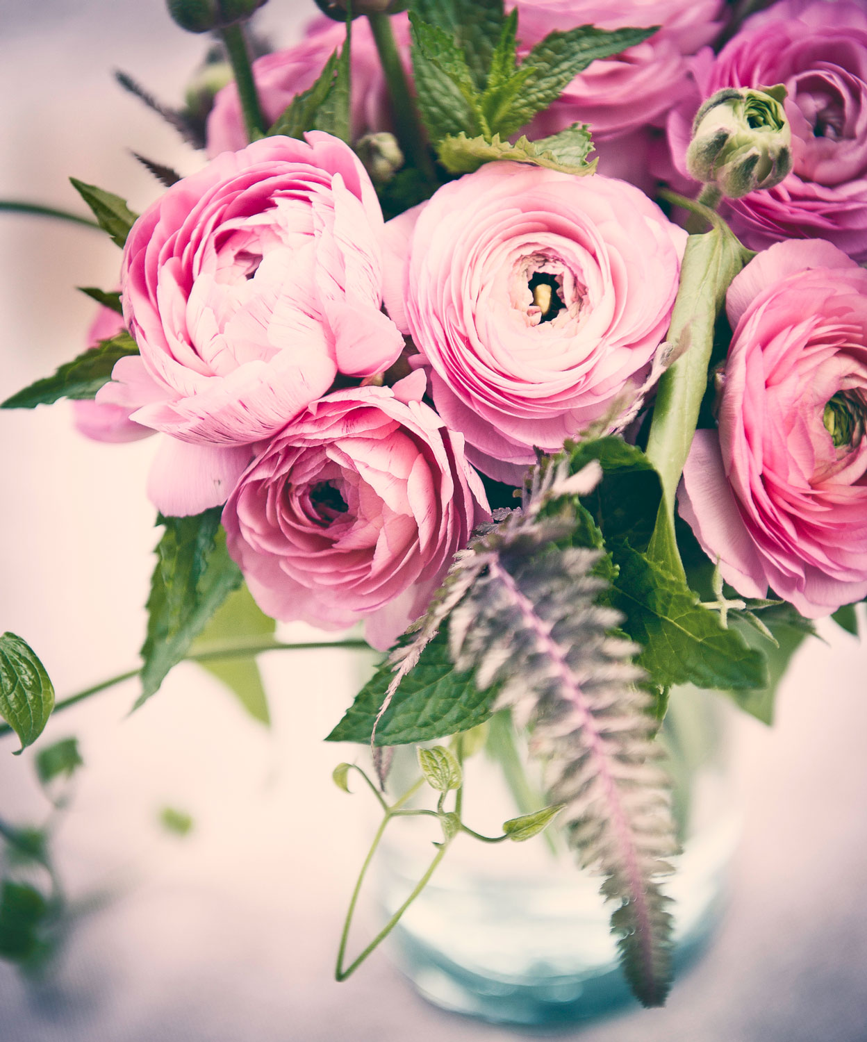 Livovich-floral-6048-001_sm.jpg