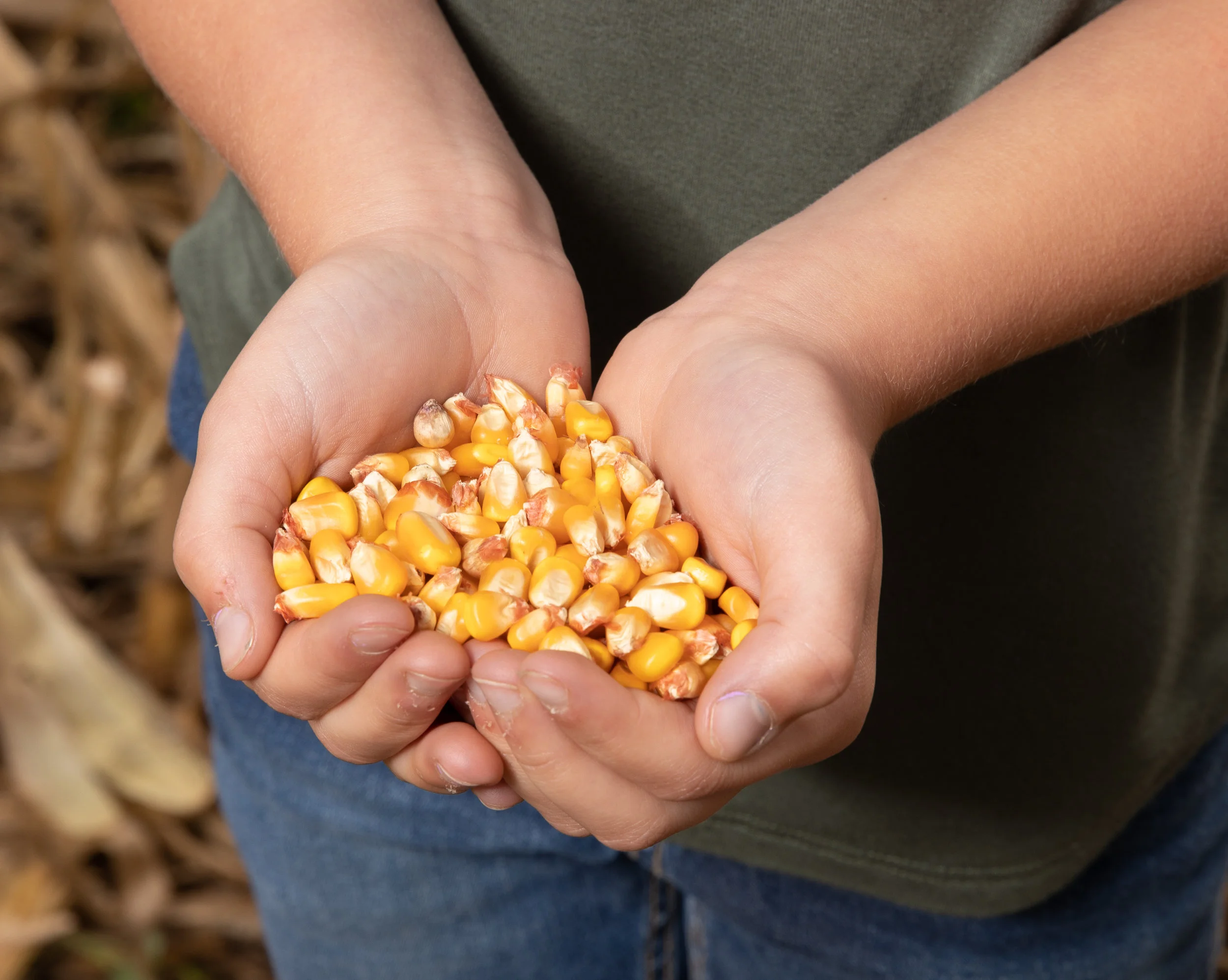 KS CORN Phase 5-McCauley-83.jpg
