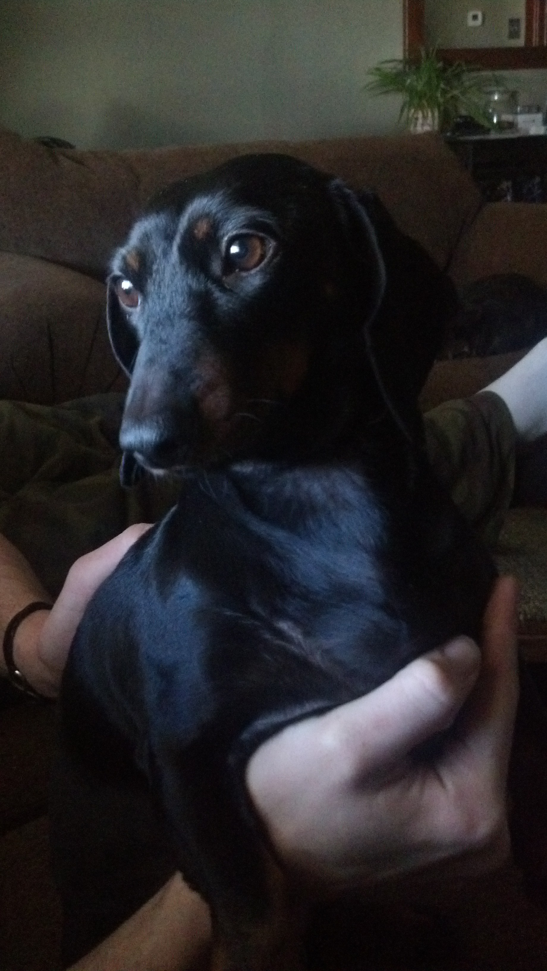Lucy