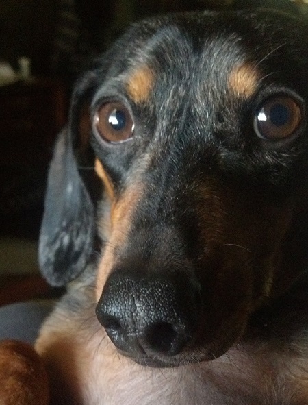 Ricky