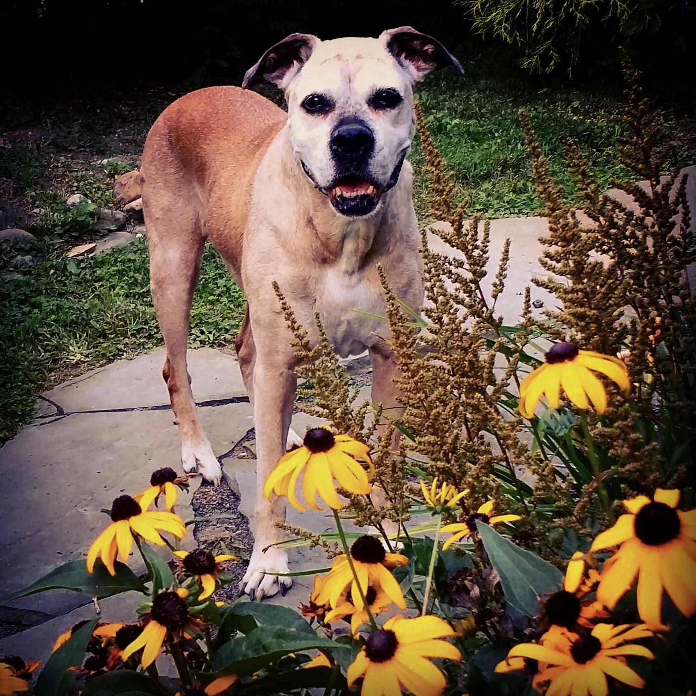 Tessie