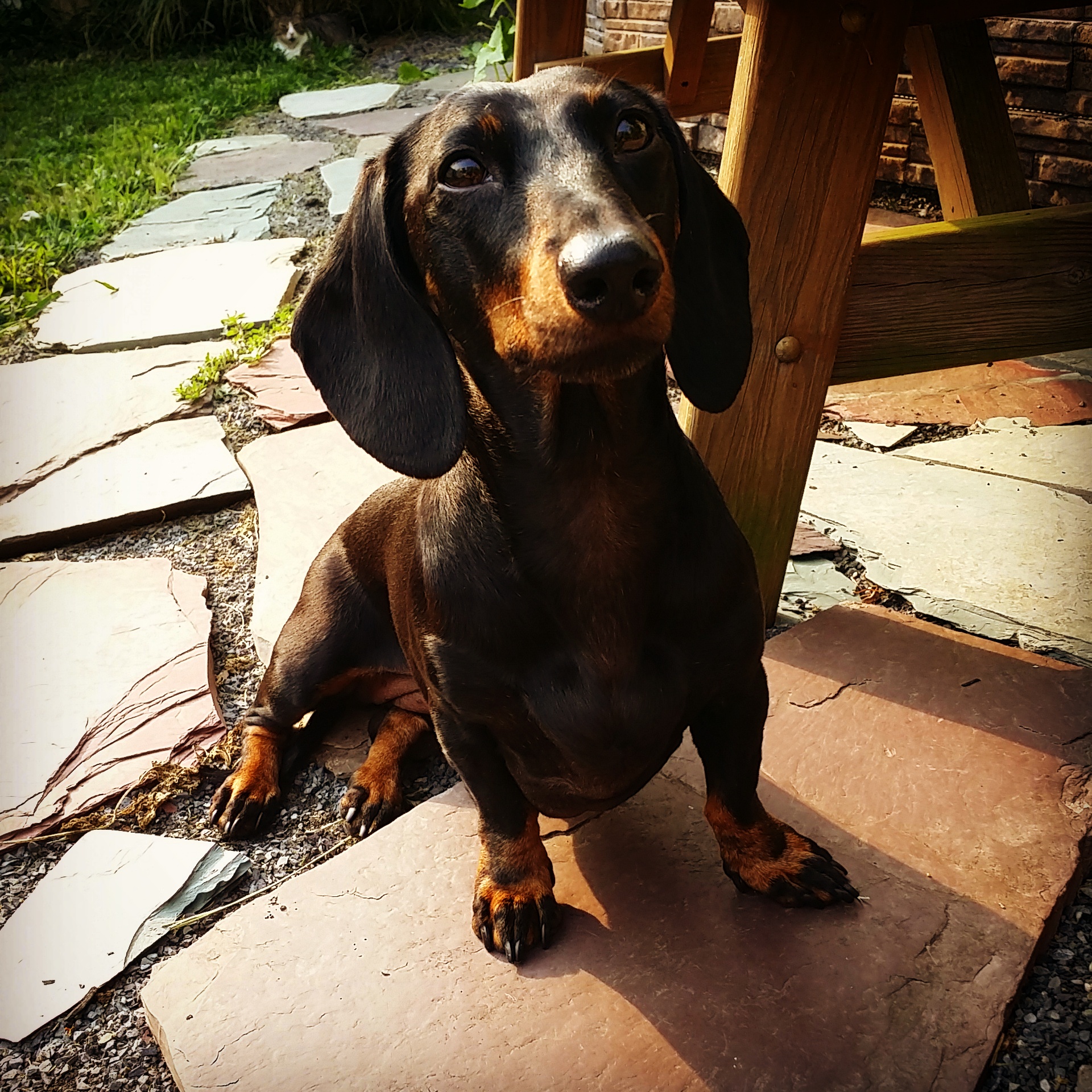 Lucy