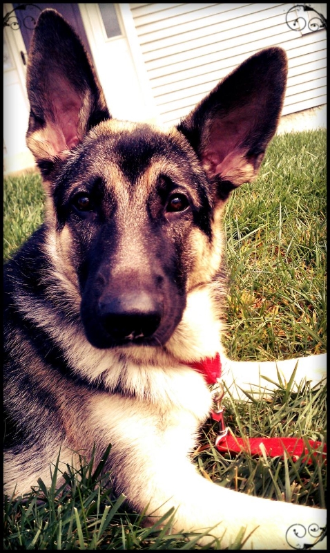 Ares