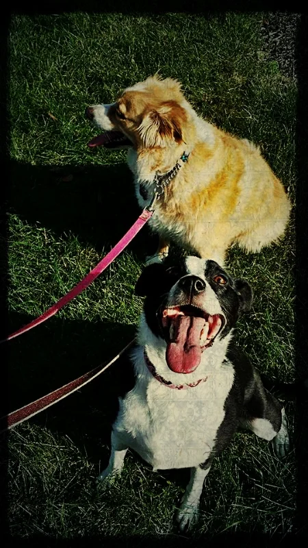 Maddie & Lucy