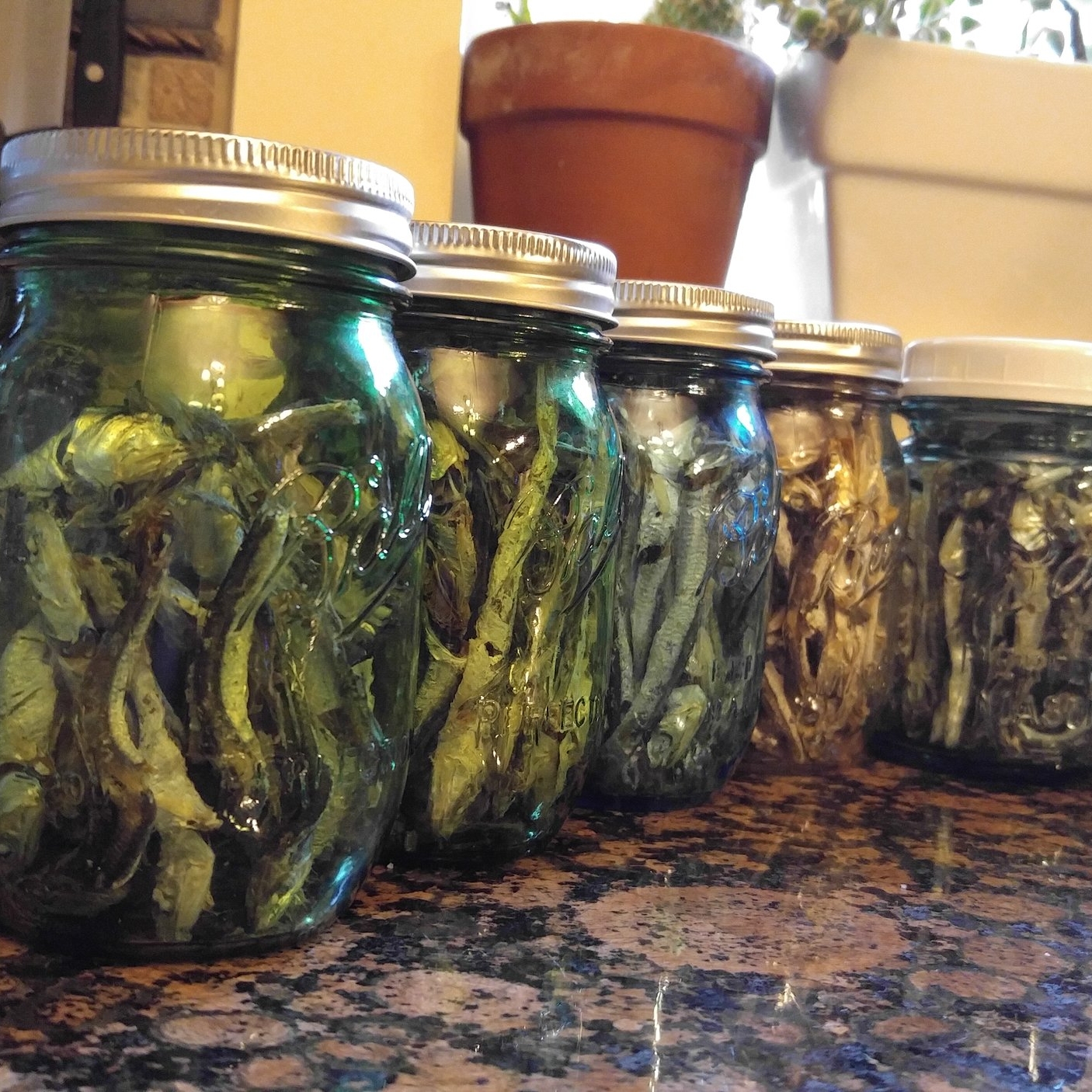 I store our dried anchovies in mason jars, with a simple hand pump vacuum sealer