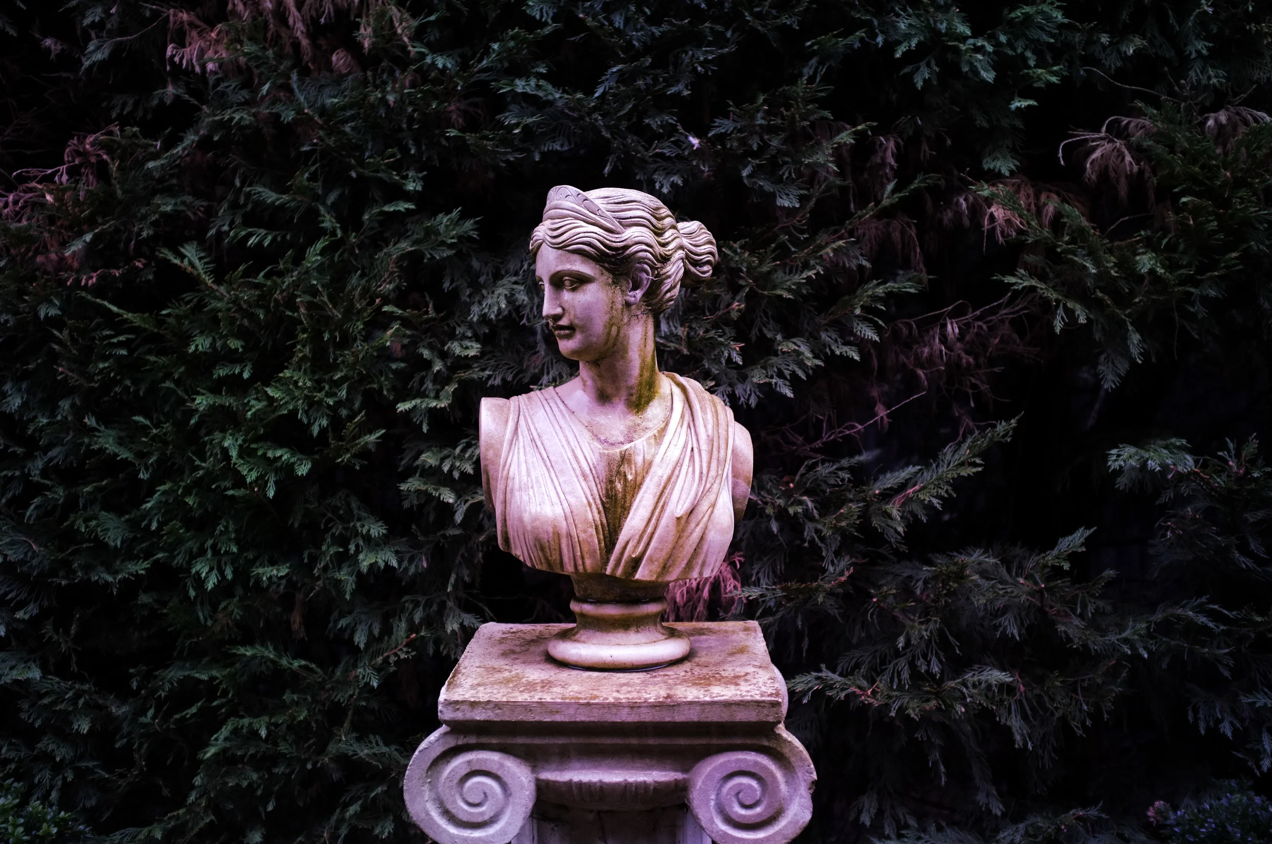 Bust