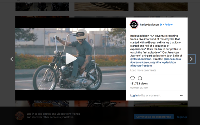 Black bear Brand and Harley-Davidson media