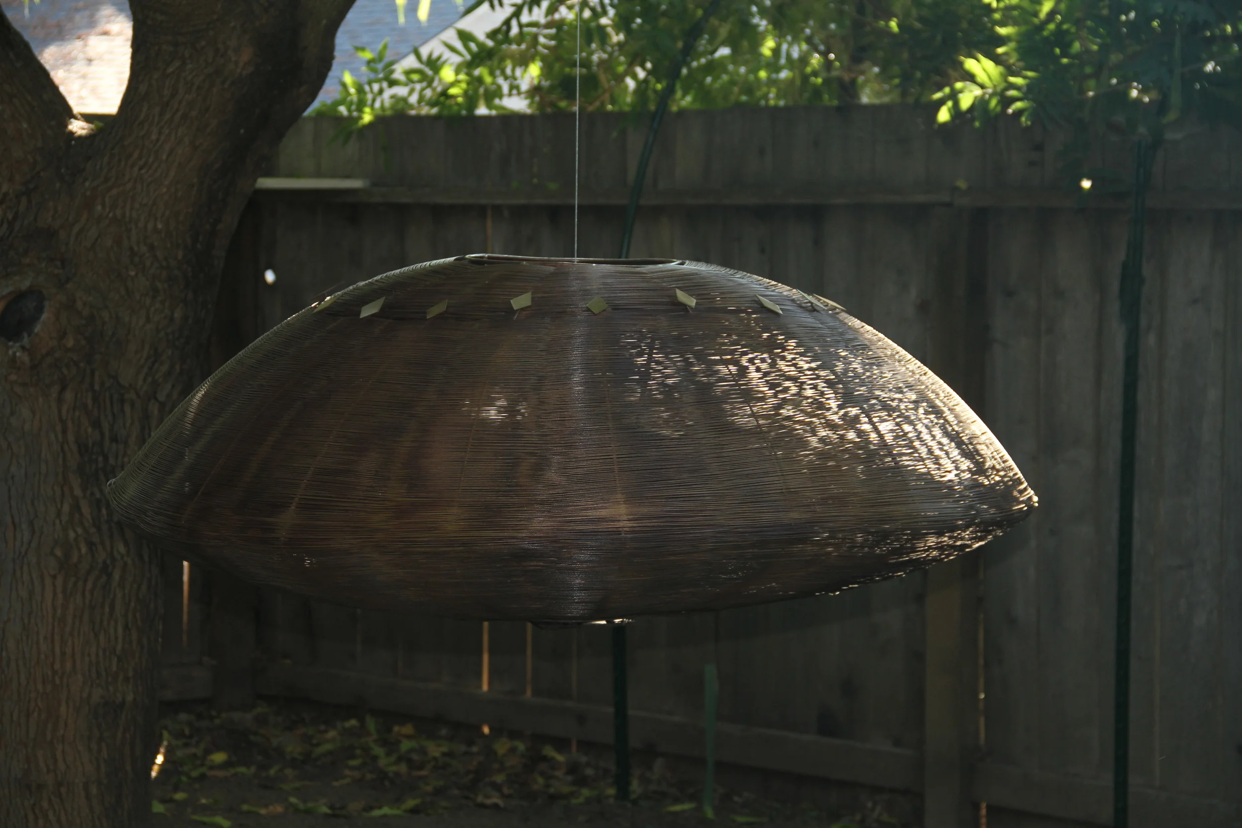 Lucy in the Sky with Diamonds.JPG