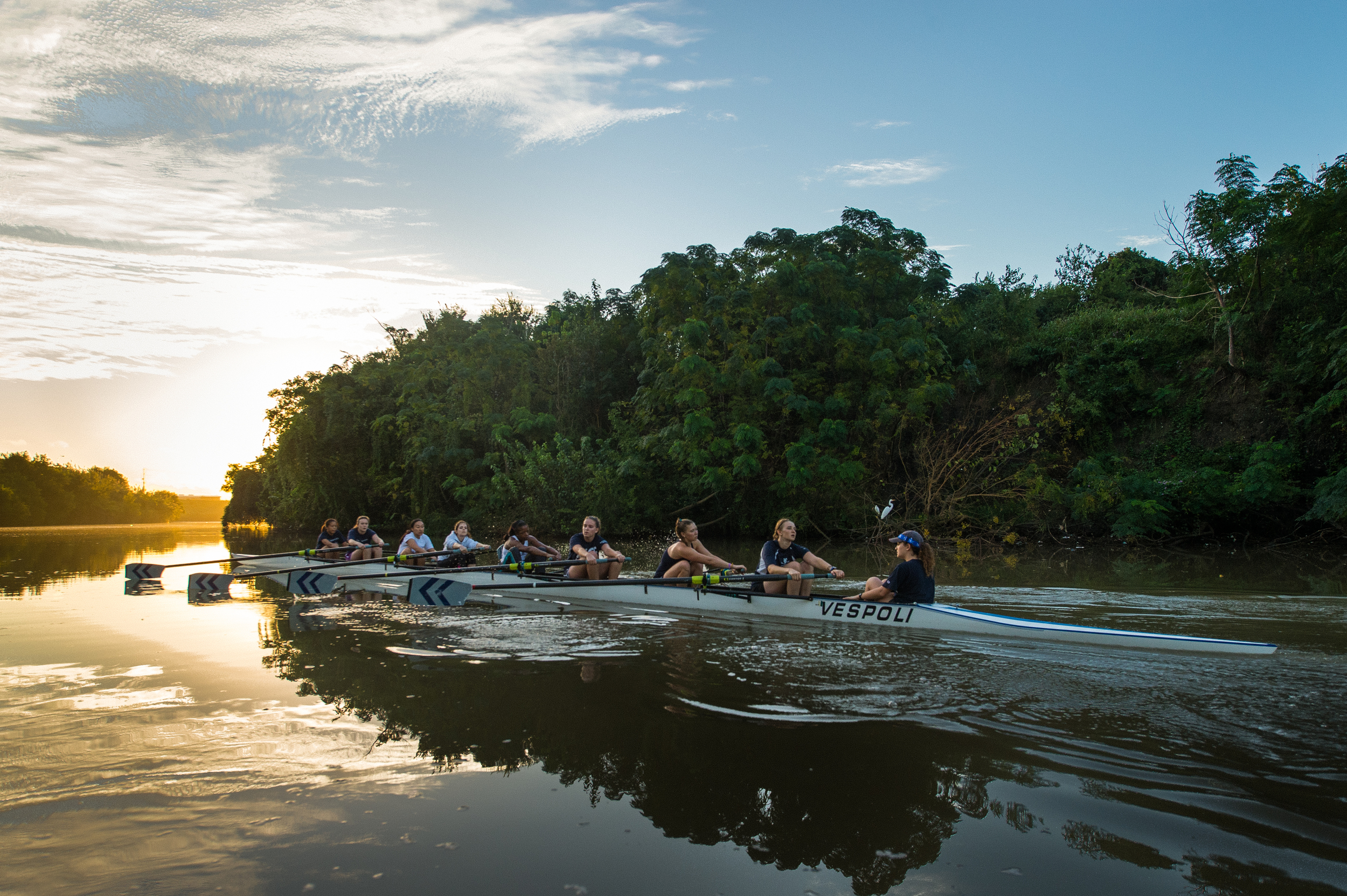   Home of Rice University's Rowing Team   define your college experience   join us  