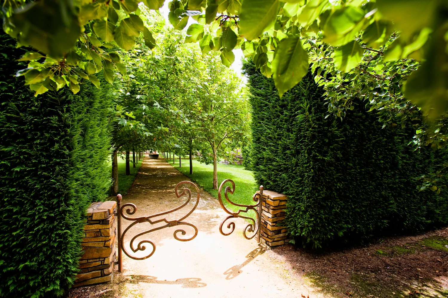 rustic gate hedge pathway
