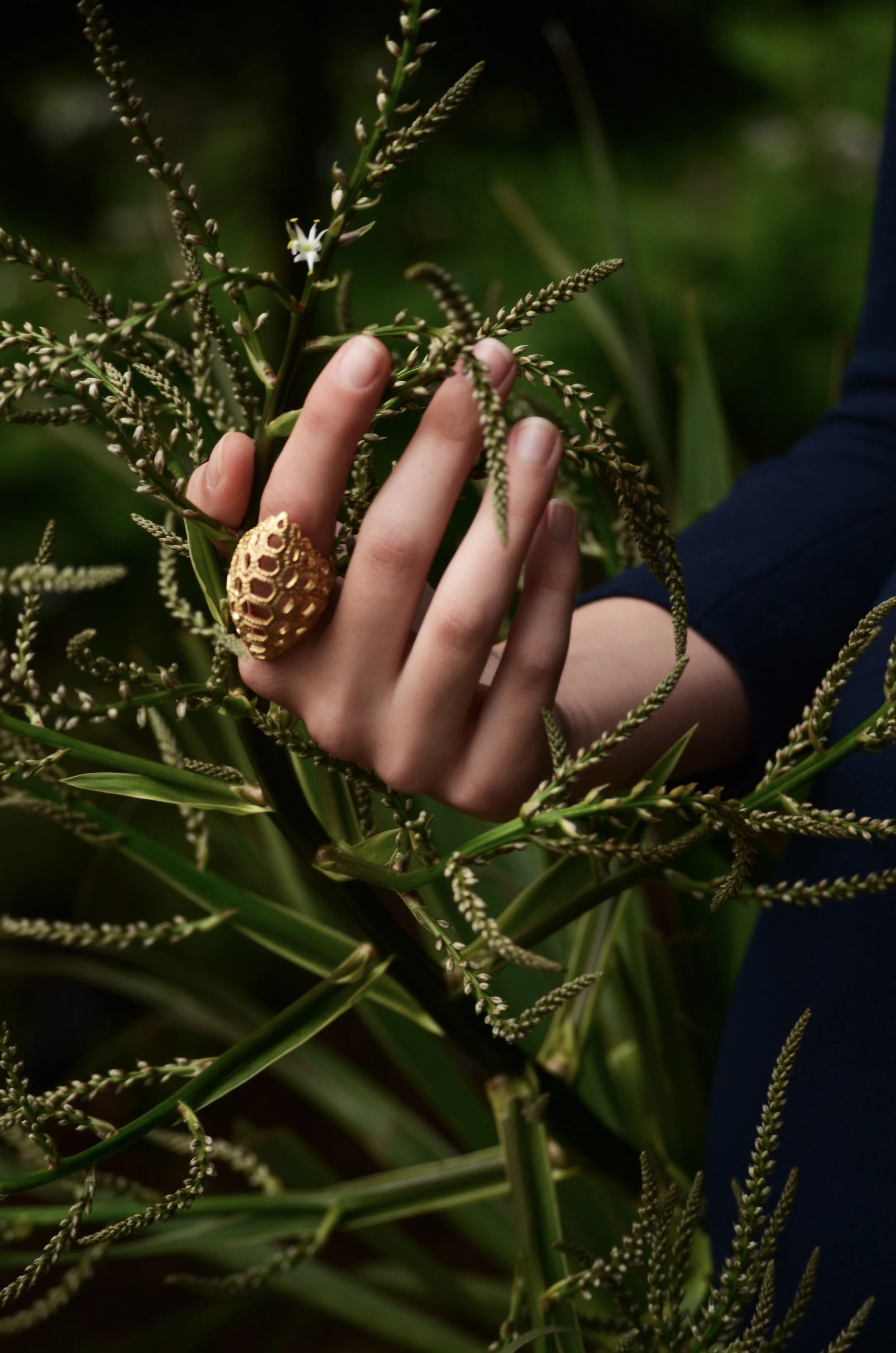 Isharya Jewelry/Campaign