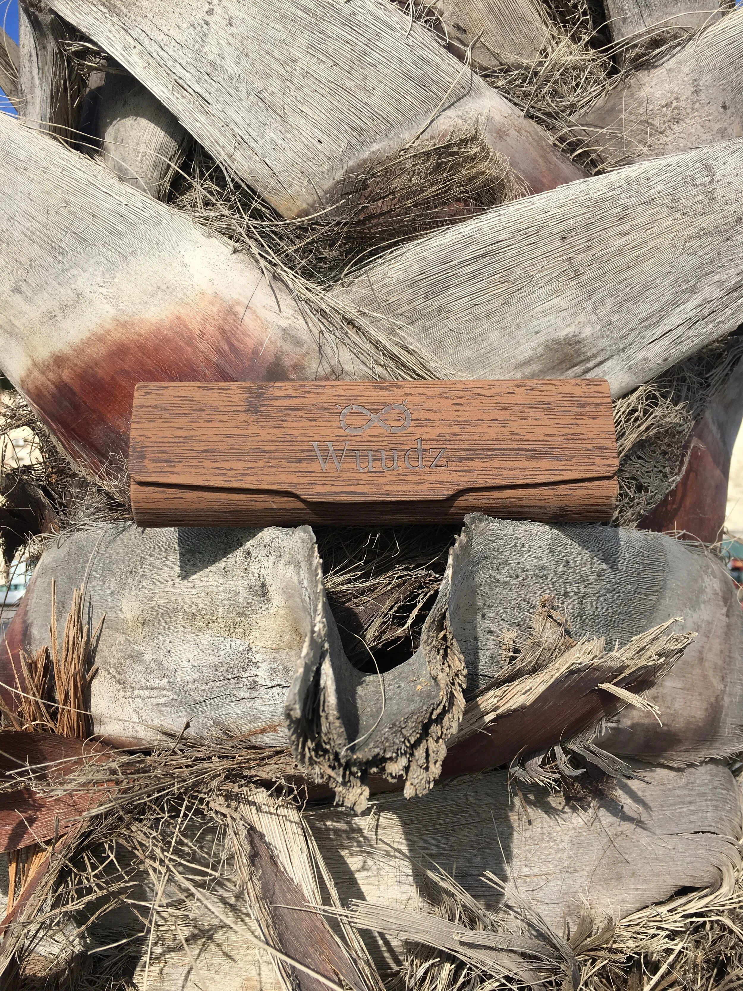 Photo Mar 07, 10 19 51 AM.jpg