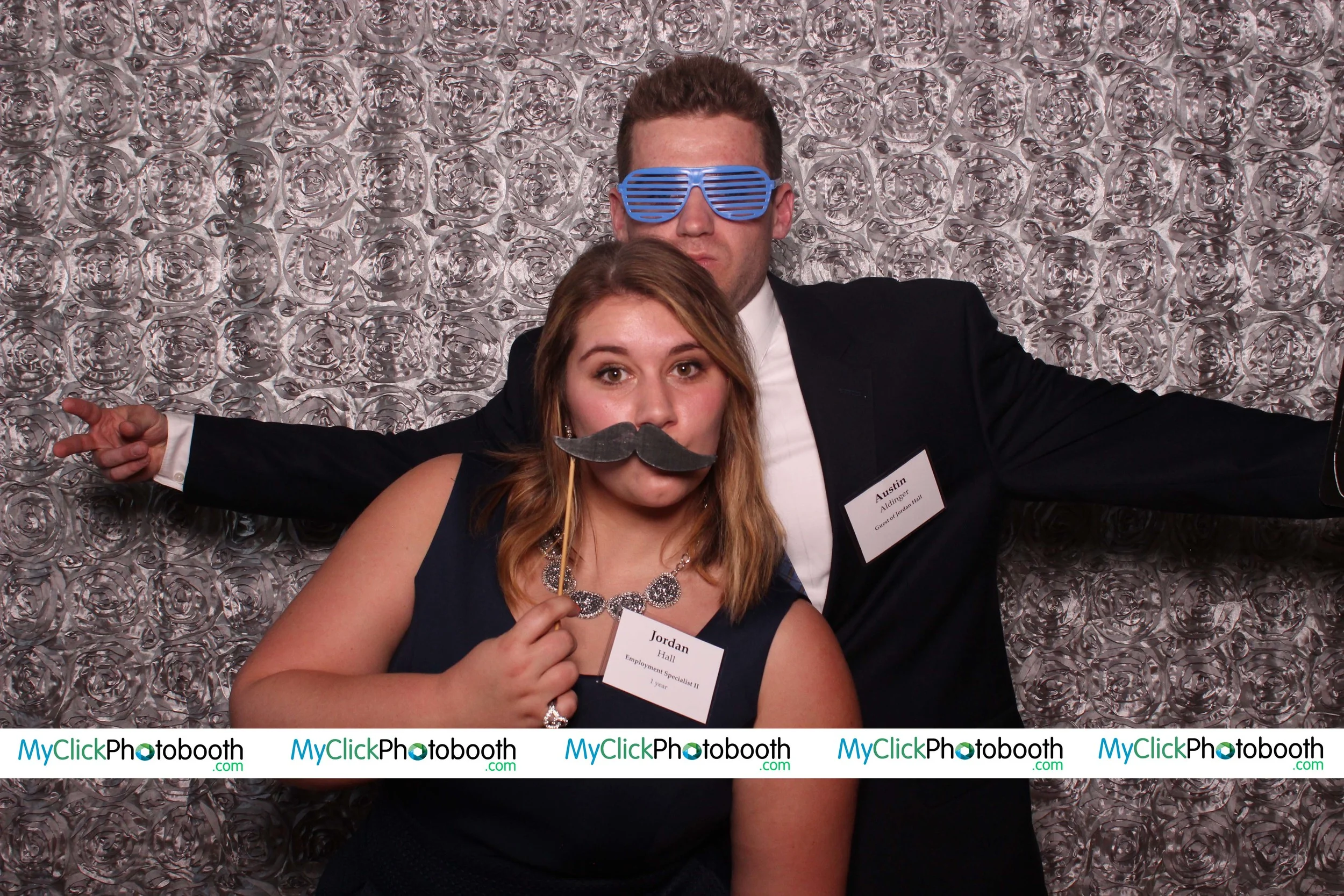 Silver Roses Backdrop