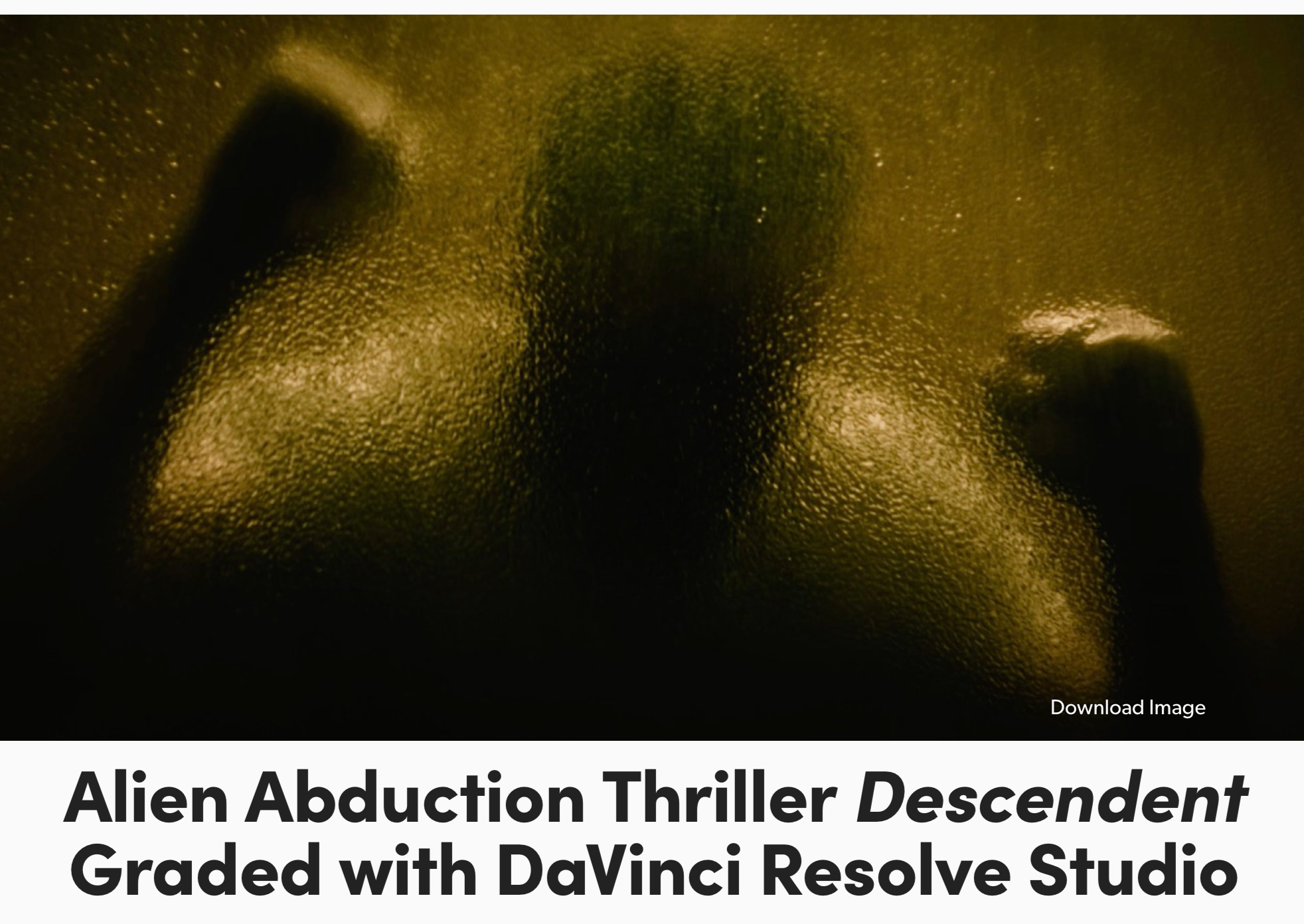 DAVINICI RESOLVE-DESCENDENT (2025)