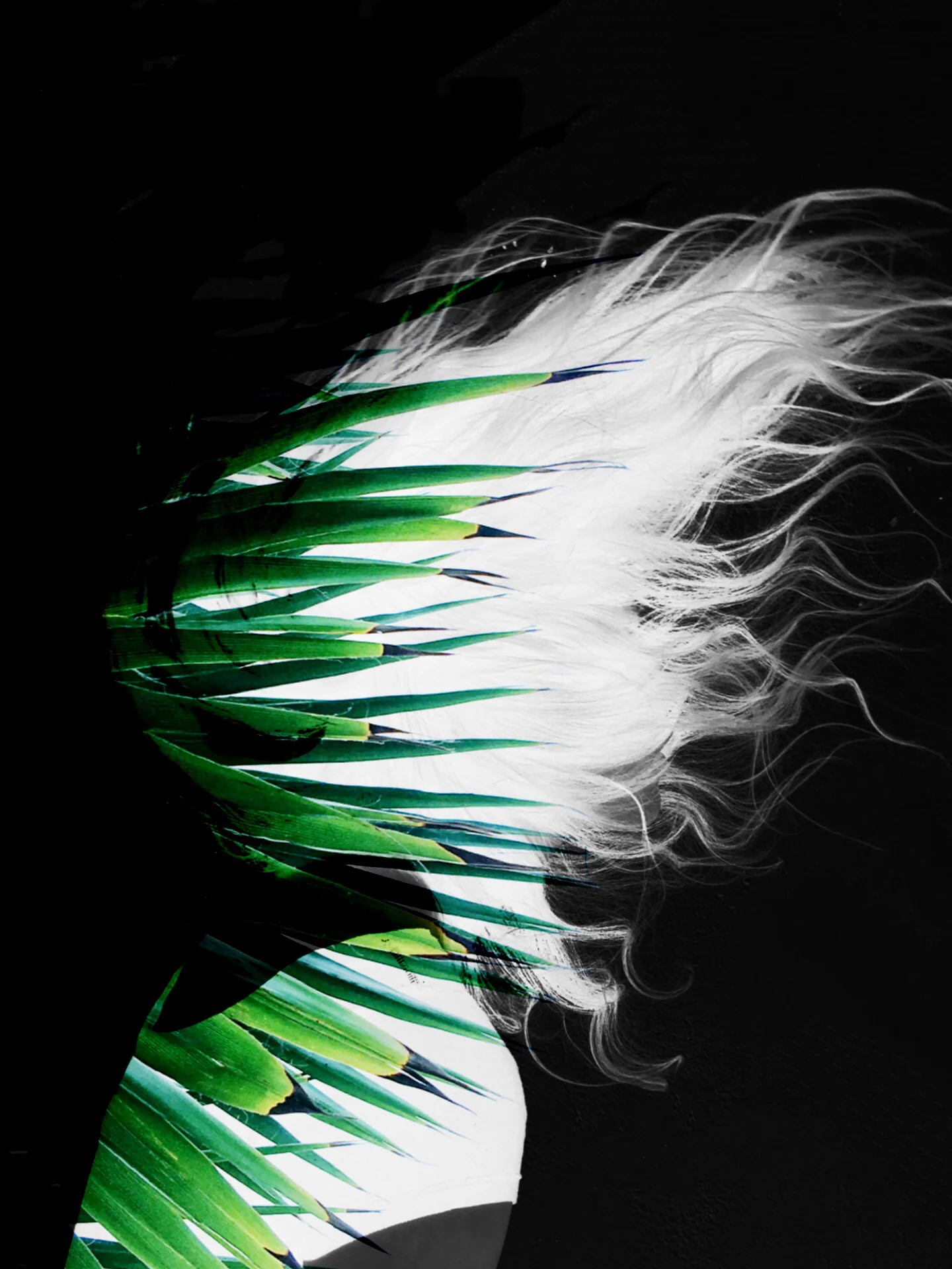 MARIANNA JAMADI014.JPG