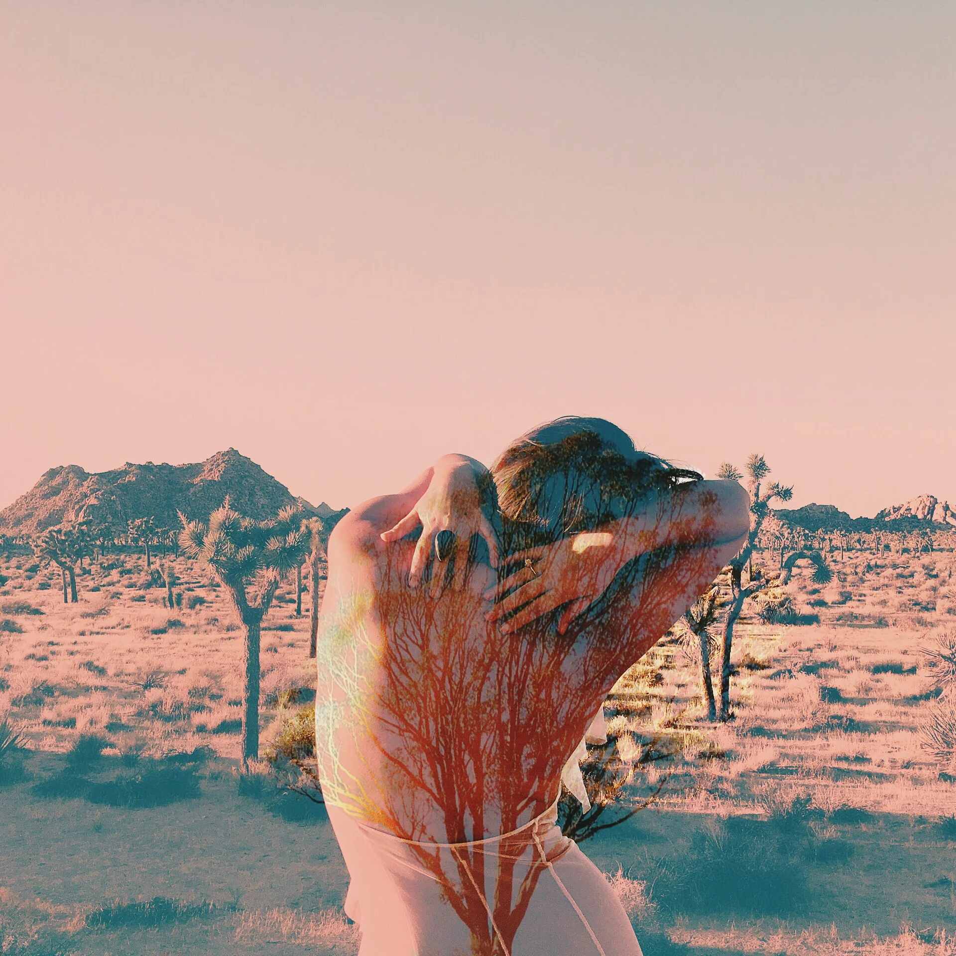 MARIANNA JAMADI020.JPG