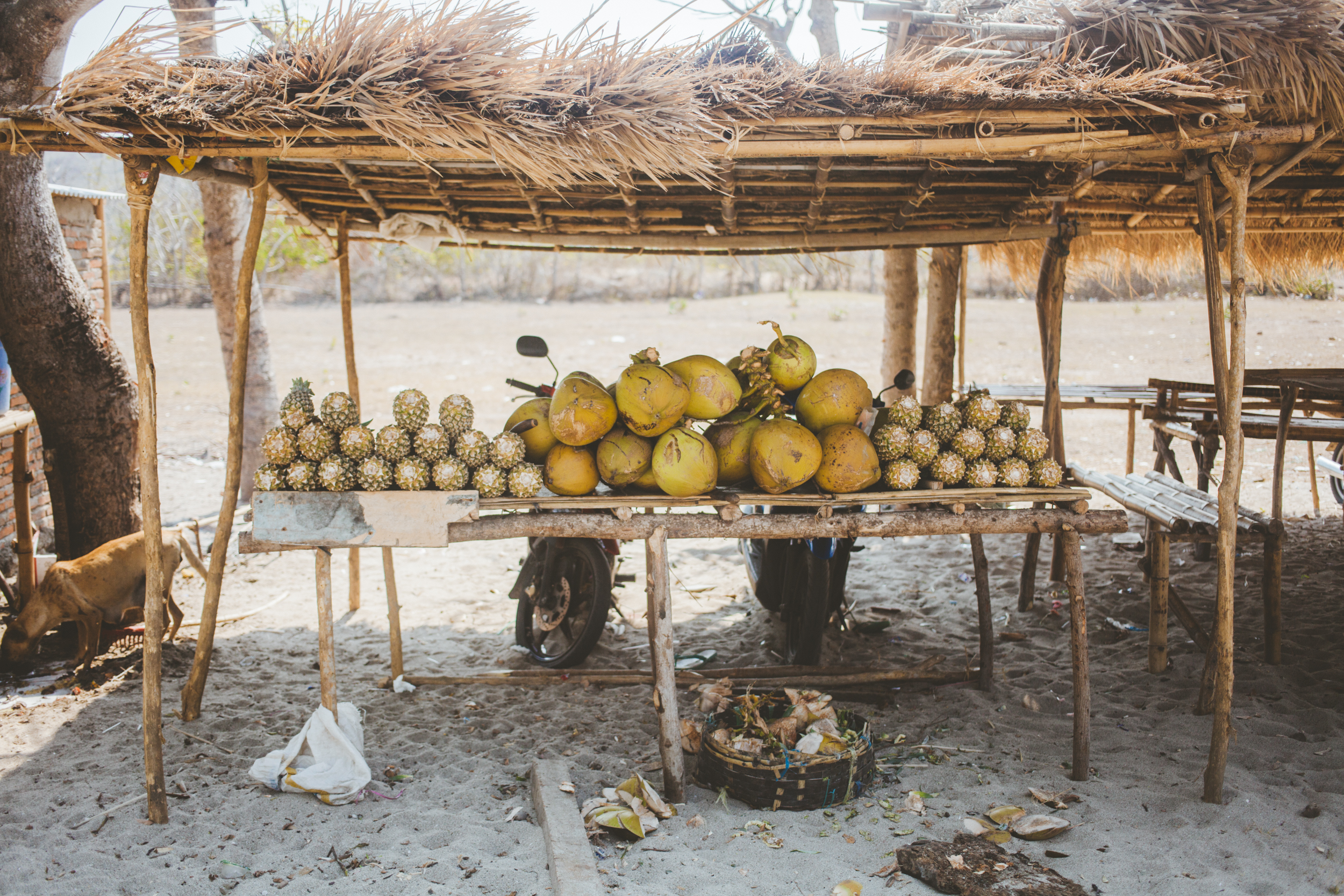 Lombok-MARIANNA JAMADI-8.jpg