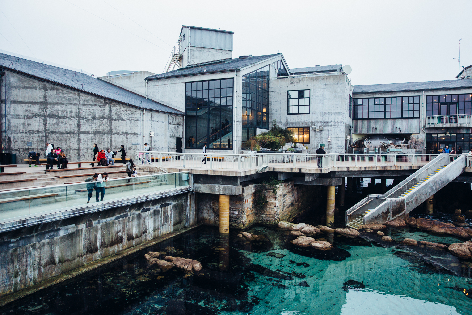 MONTEREY_Aquarium-27.jpg