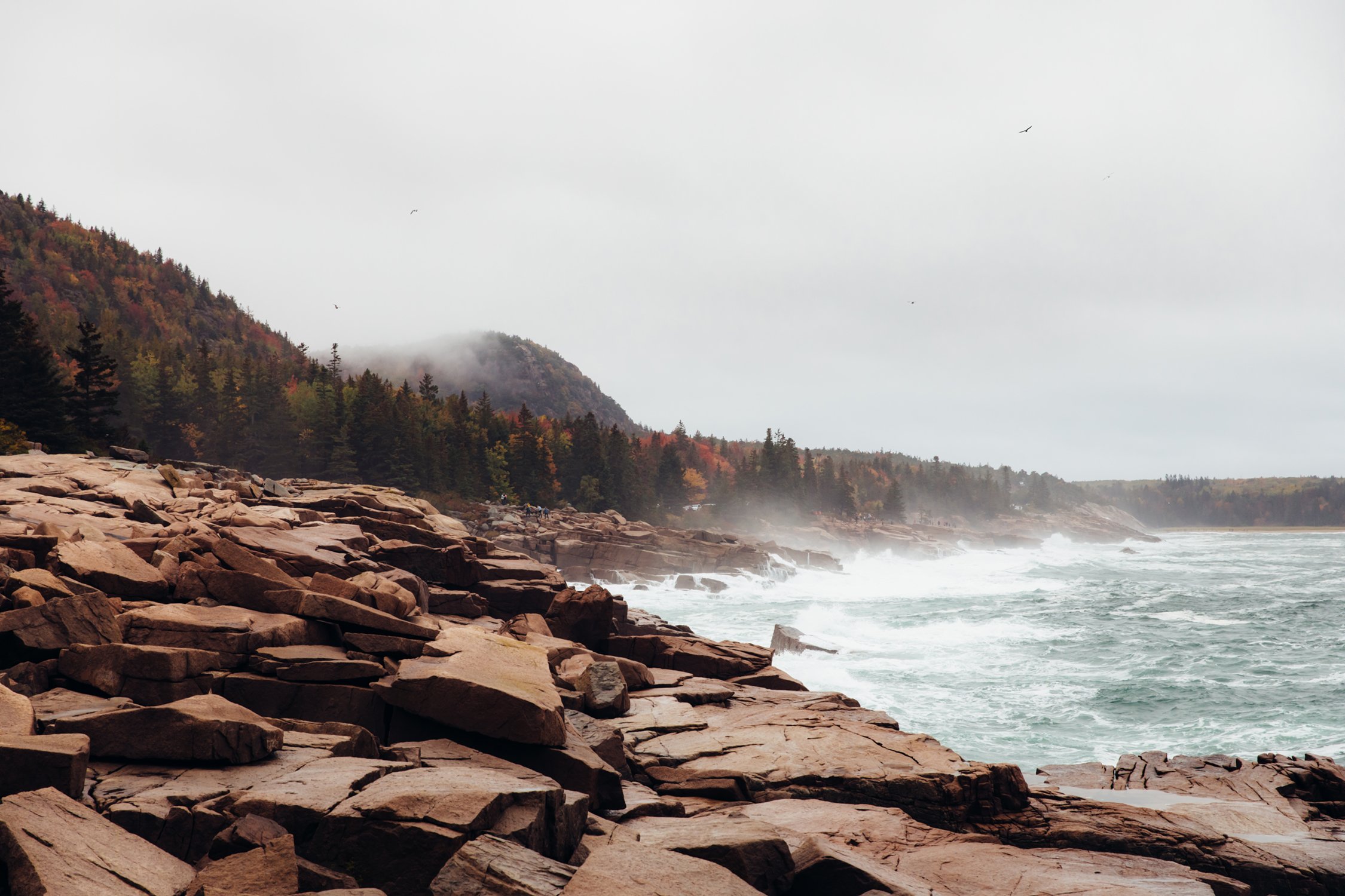 Acadia Maine-Seabourn-16.jpg