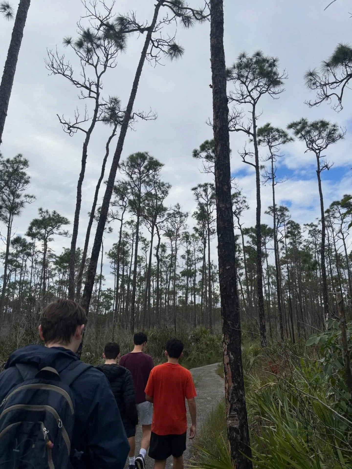 &lsquo;Soons take on the Everglades!