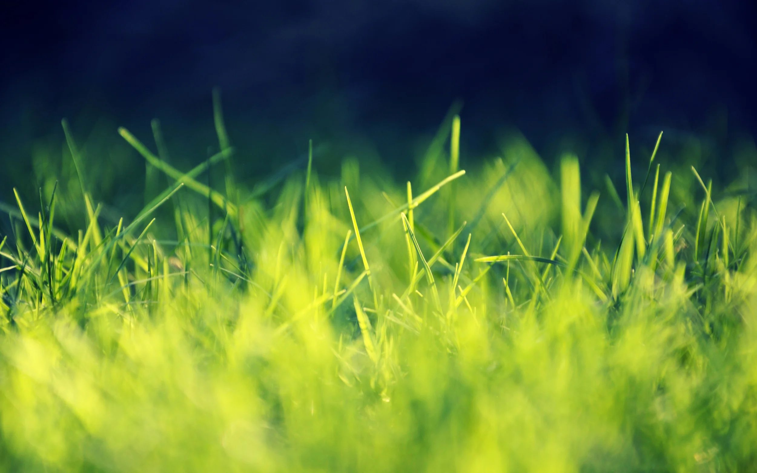 FreeGreatPicture.com-50676-wallpaper.jpg