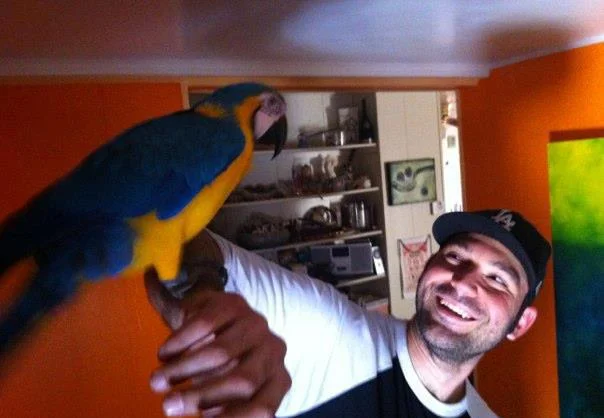  Sometimes Hartan brings in a third party to evaluate a trade offer. The official Hartan Parrot named SheeShik takes on the task above. He's given crackers as compensation. 