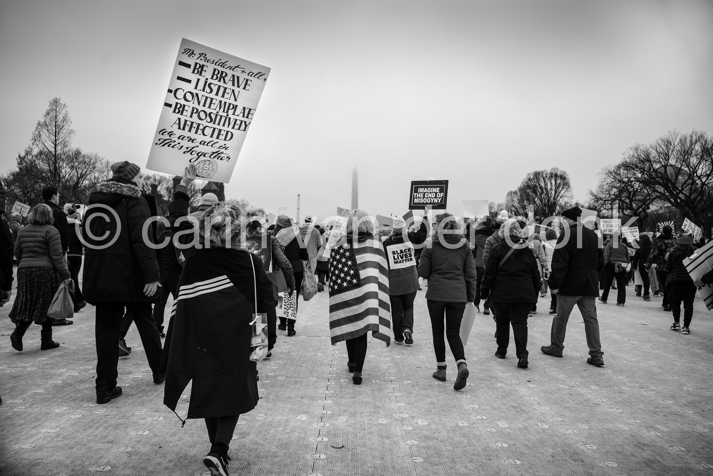 Womens March, January 21st, 2017 DC 8" x 12" by Carin van der Donk