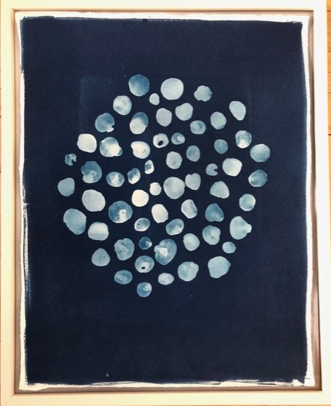 SOLD! Cyanotype - Toenail Shells by Amy Chase Gulden