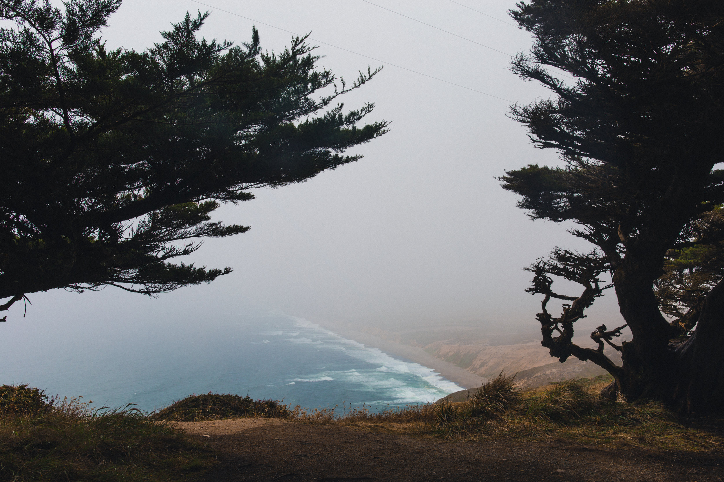 Point Reyes II by Andrew Ryan Shepherd