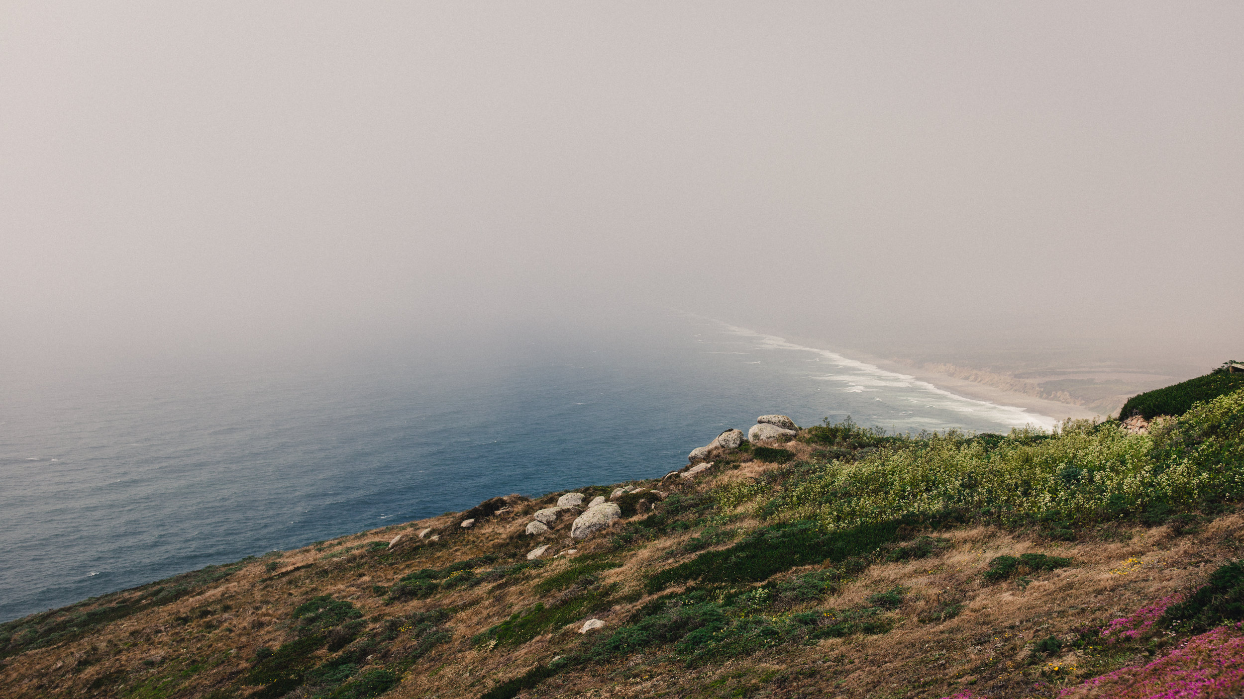 Point Reyes III by Andrew Ryan Shepherd