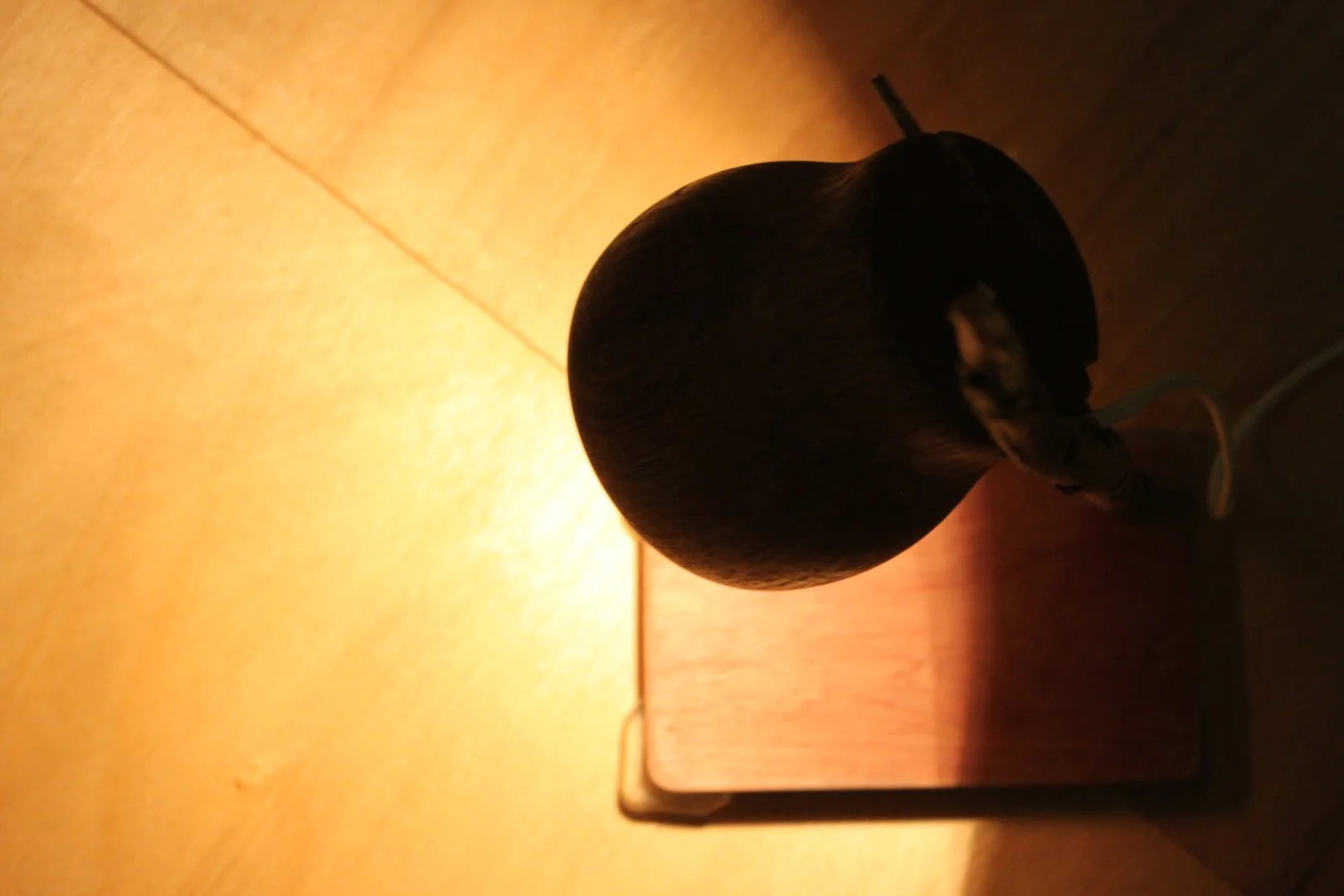 Hive Table Lamp-7.jpg